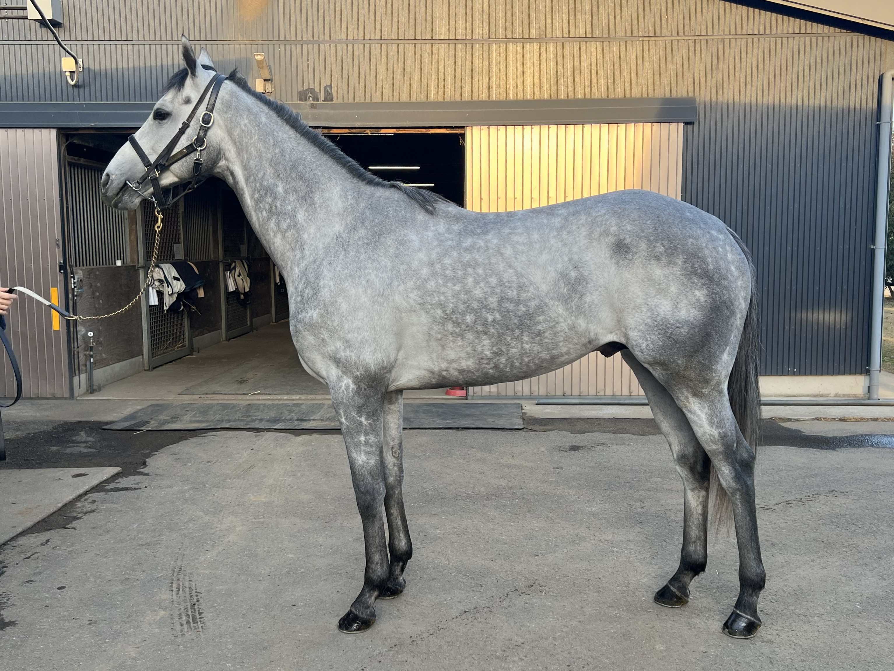 画像サムネイル