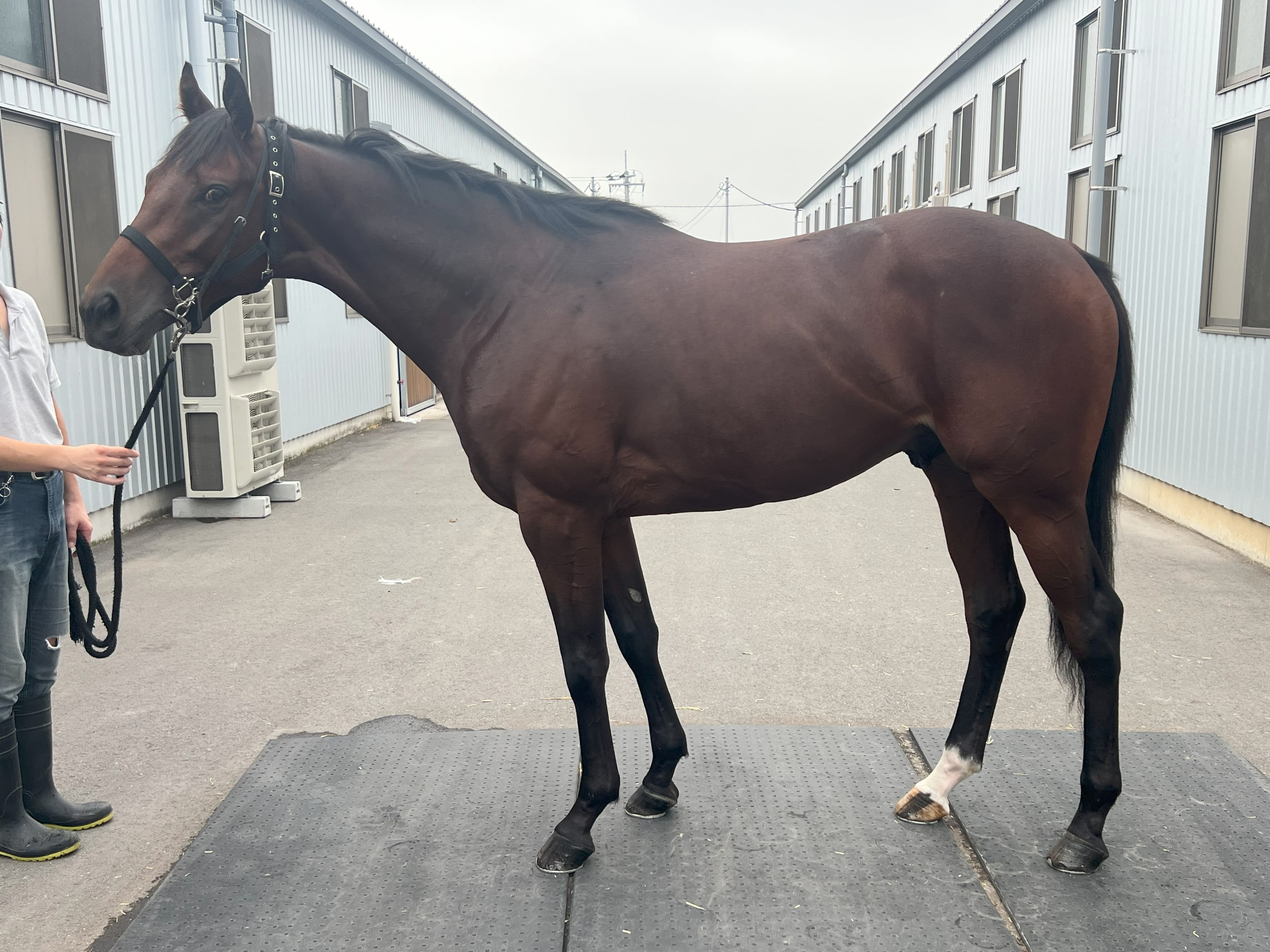 画像サムネイル