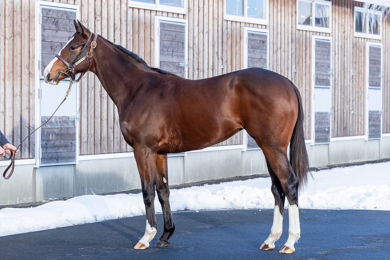 画像サムネイル