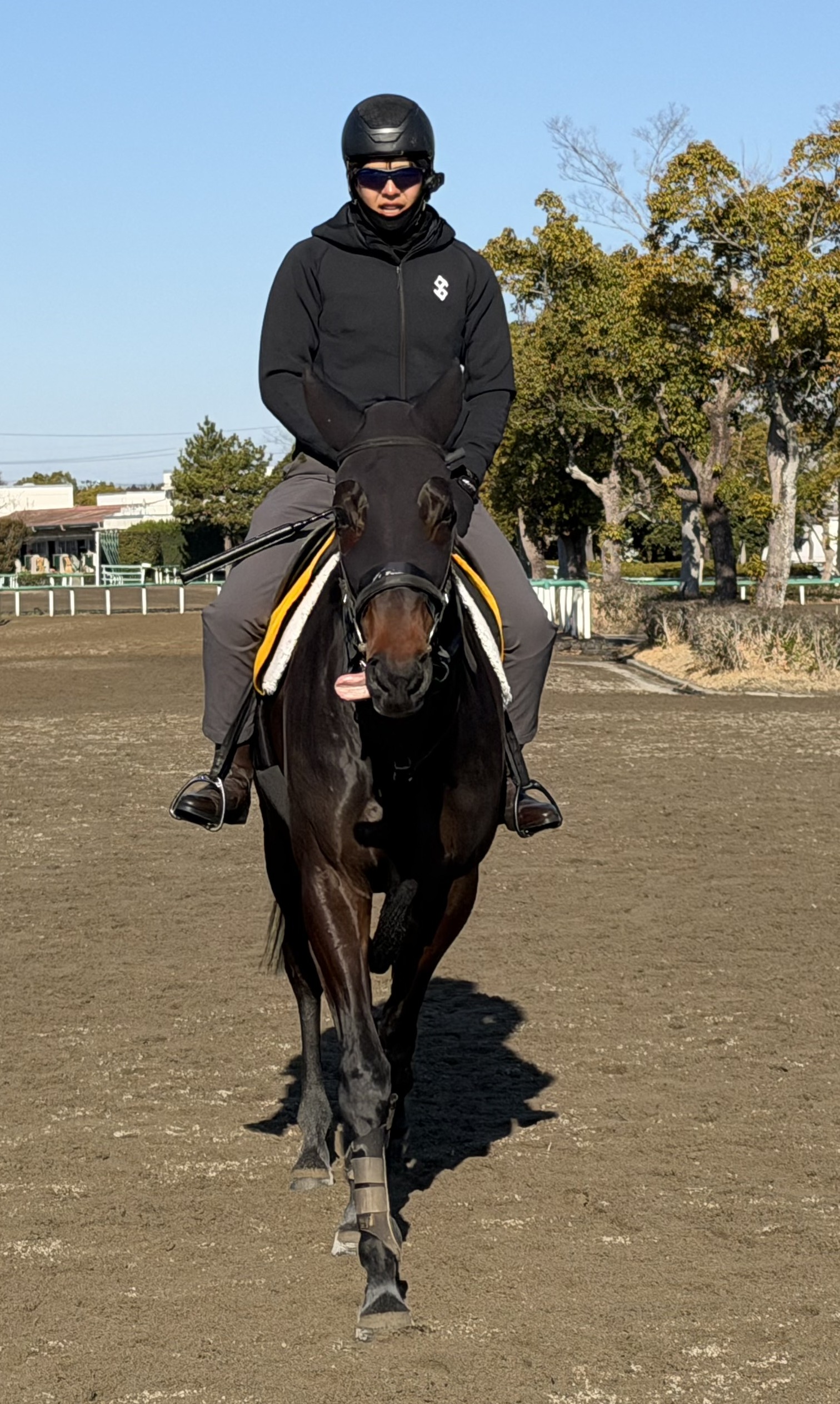 画像サムネイル