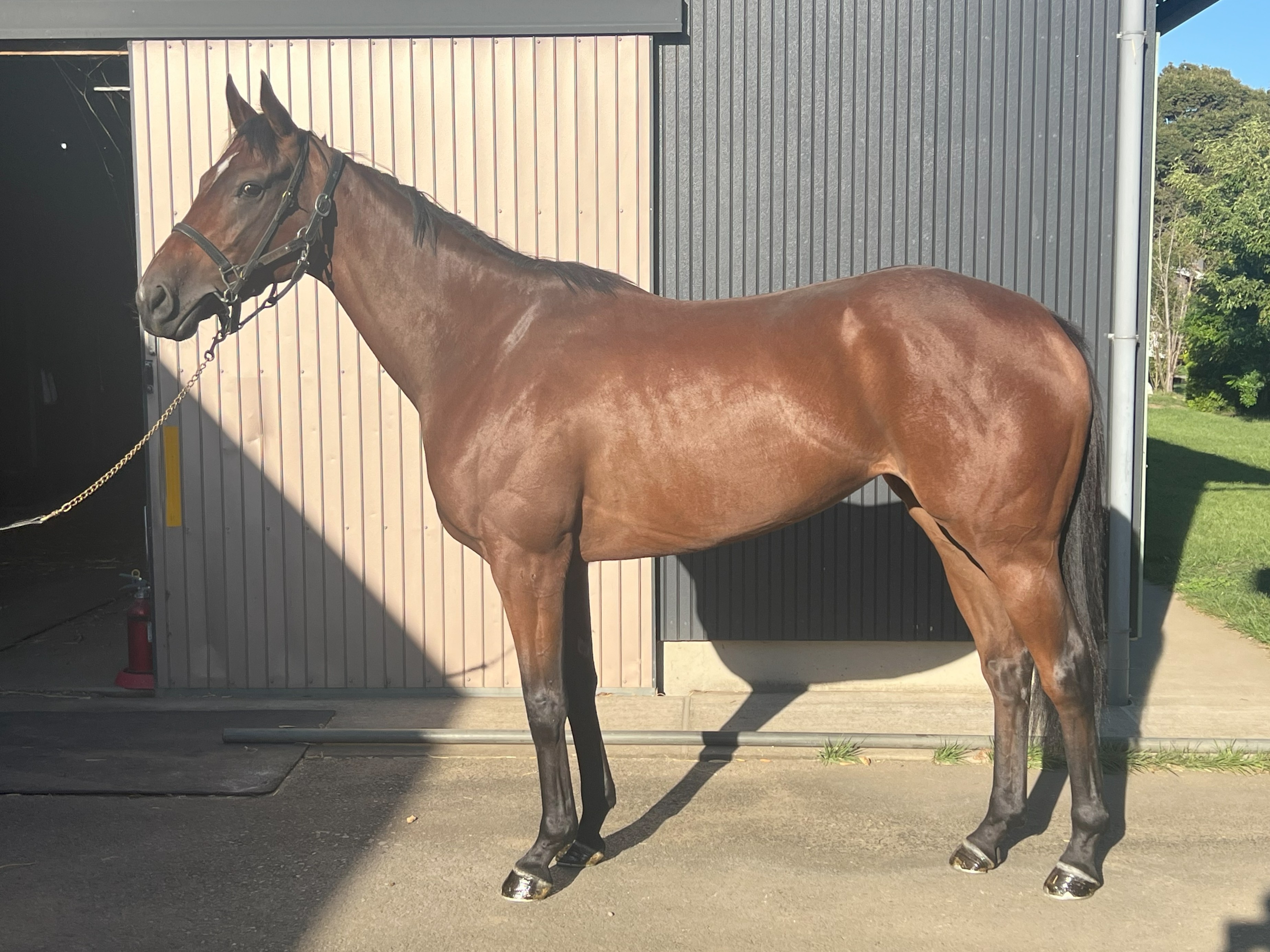 画像サムネイル