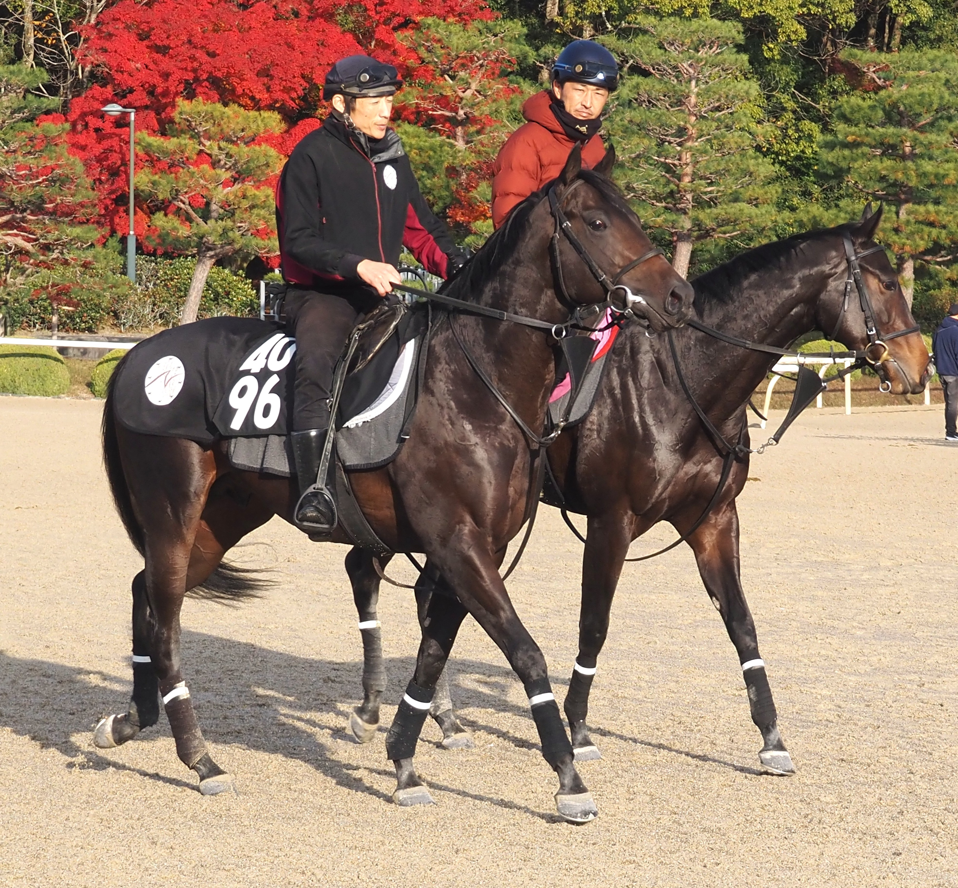 画像サムネイル