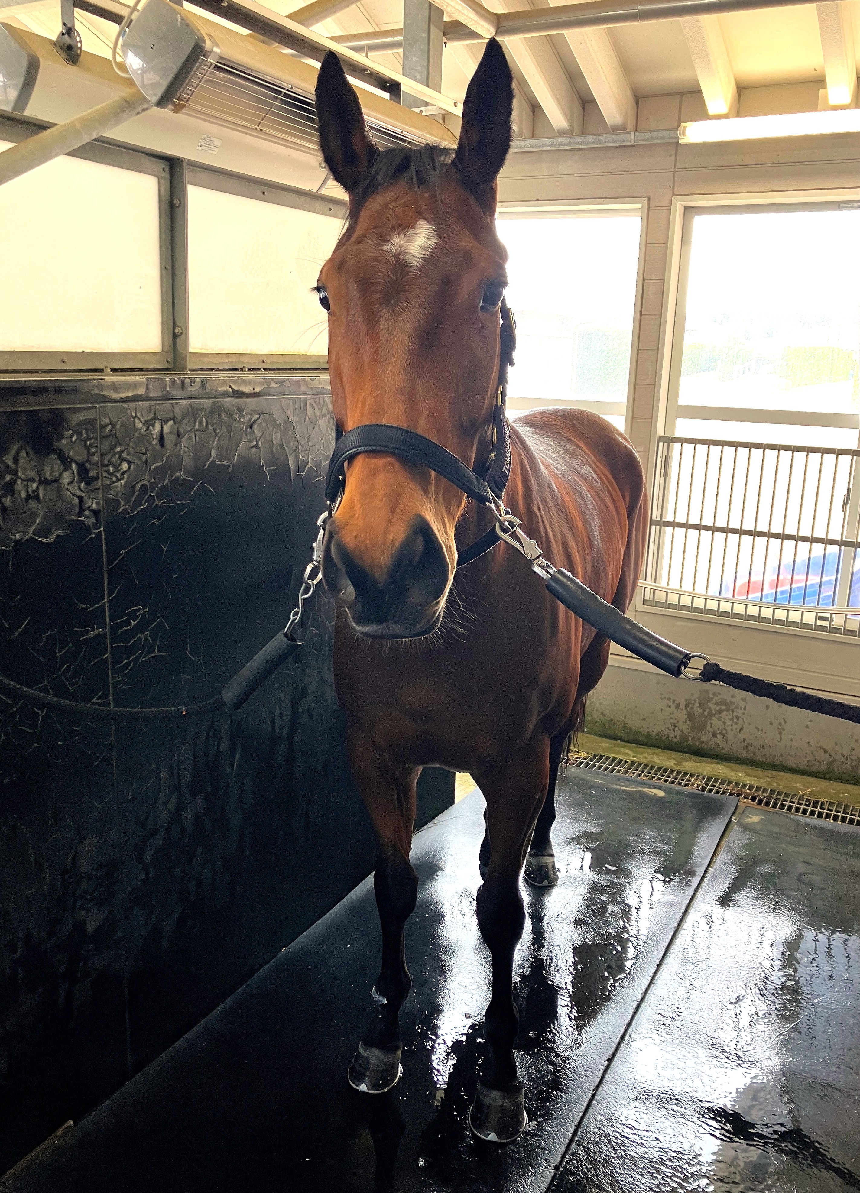 画像サムネイル