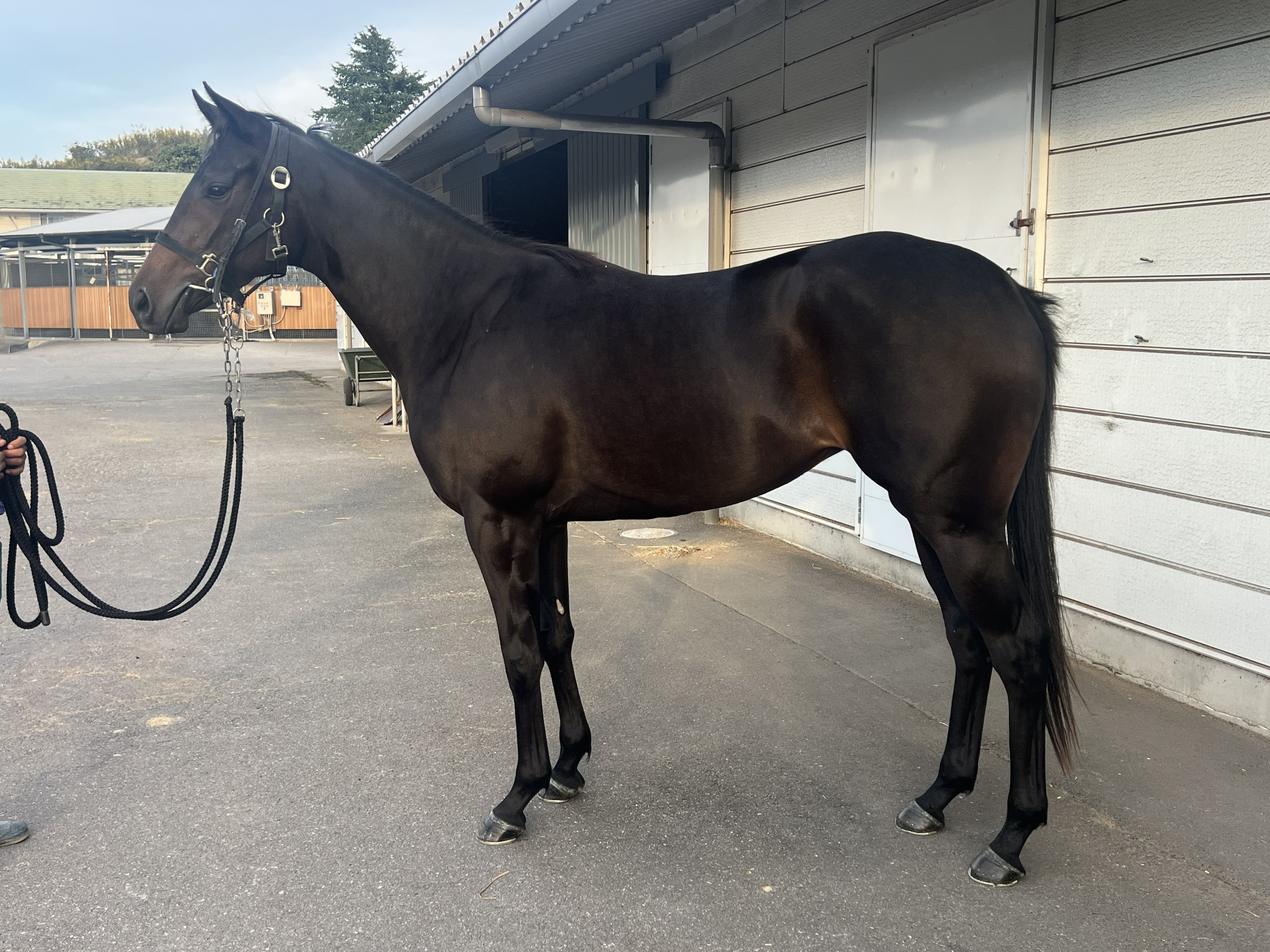 画像サムネイル