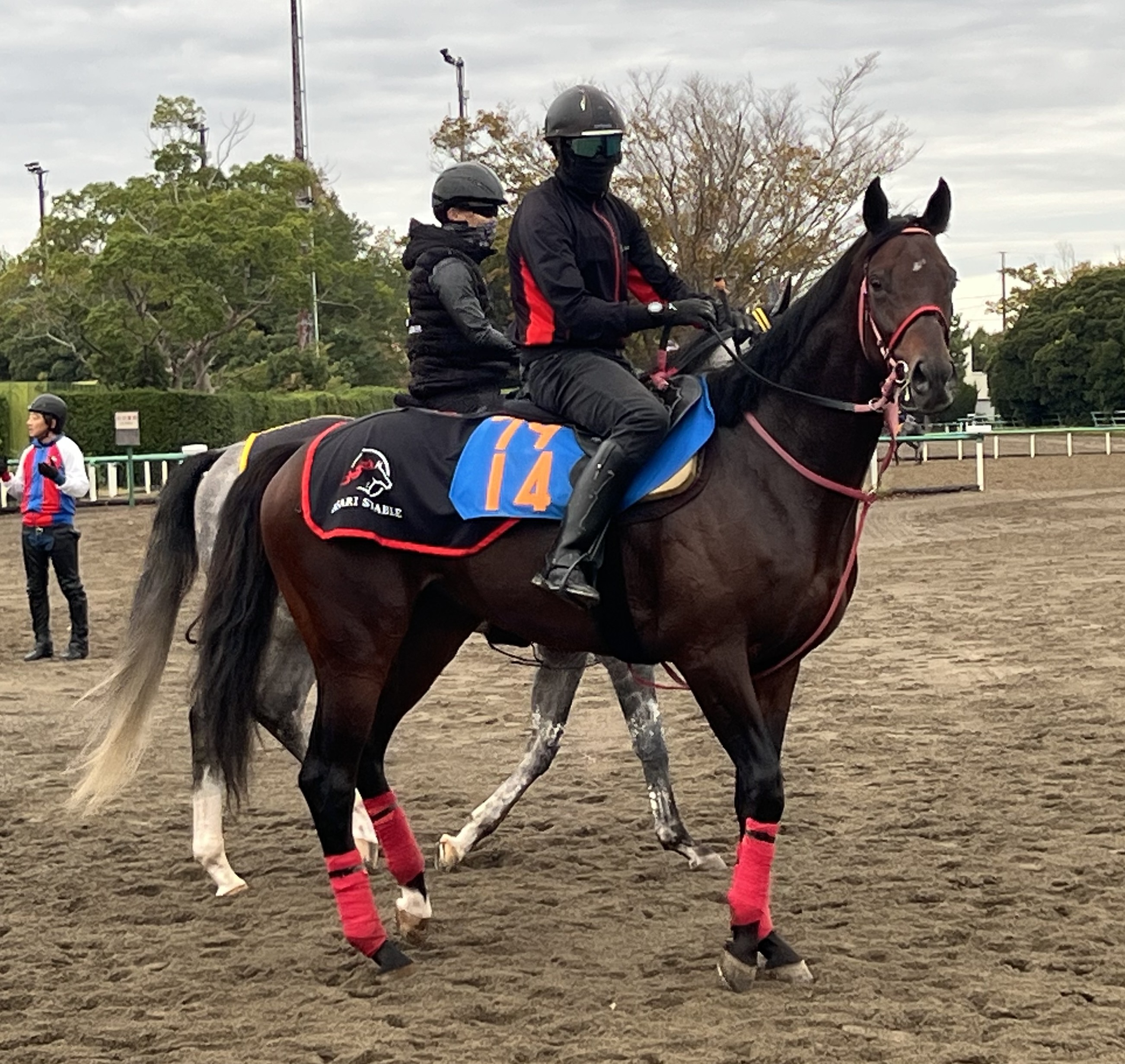 画像サムネイル