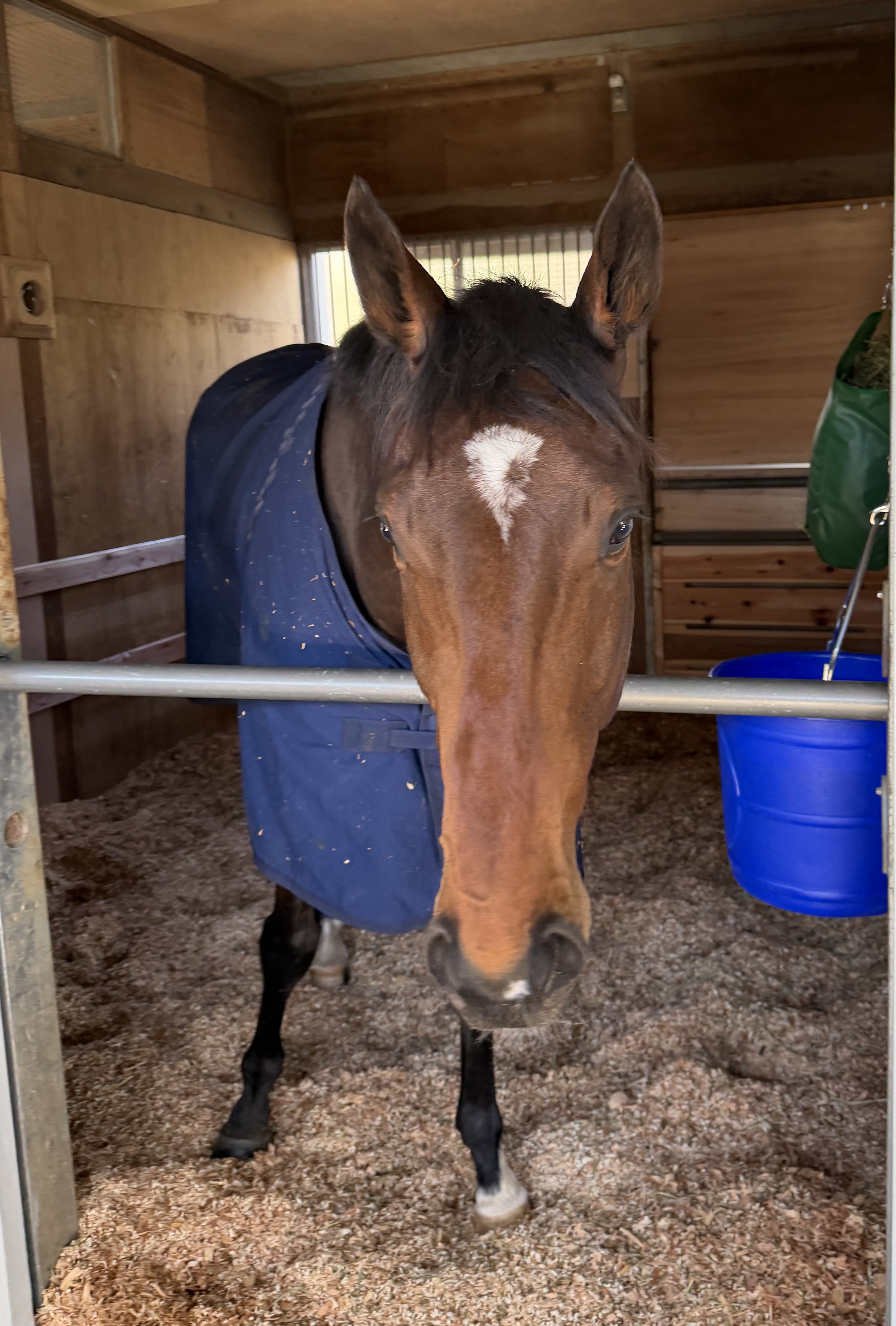 画像サムネイル