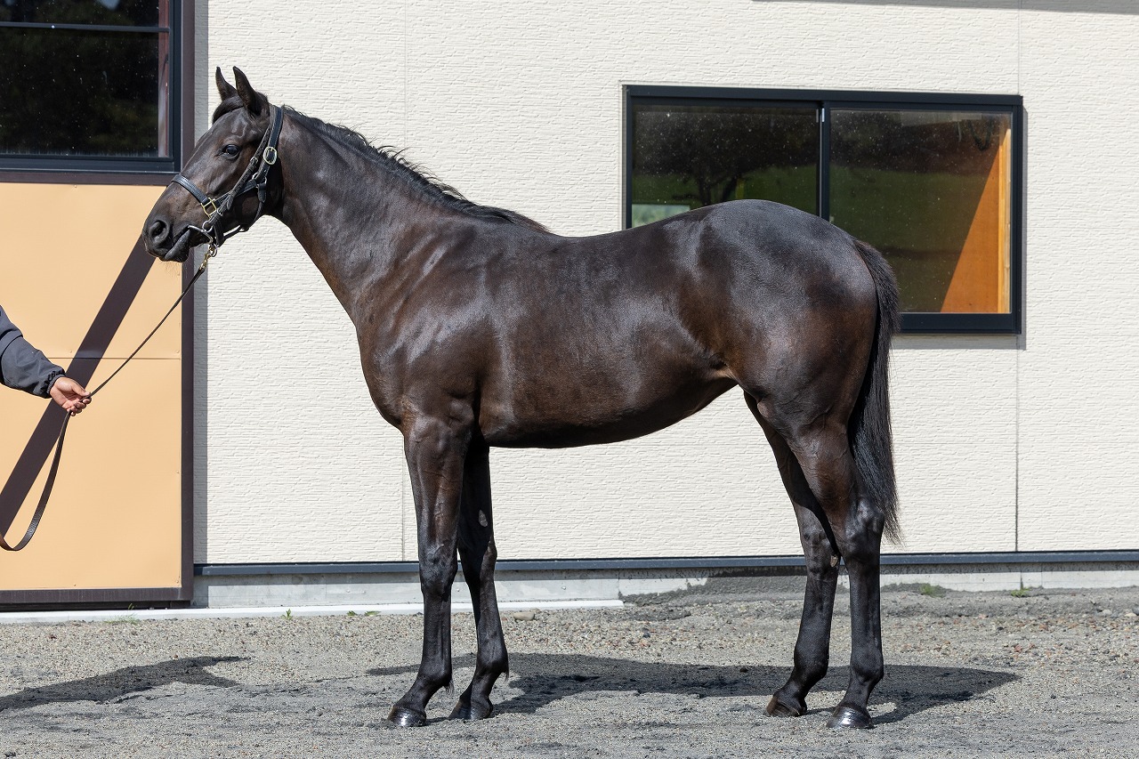 画像サムネイル