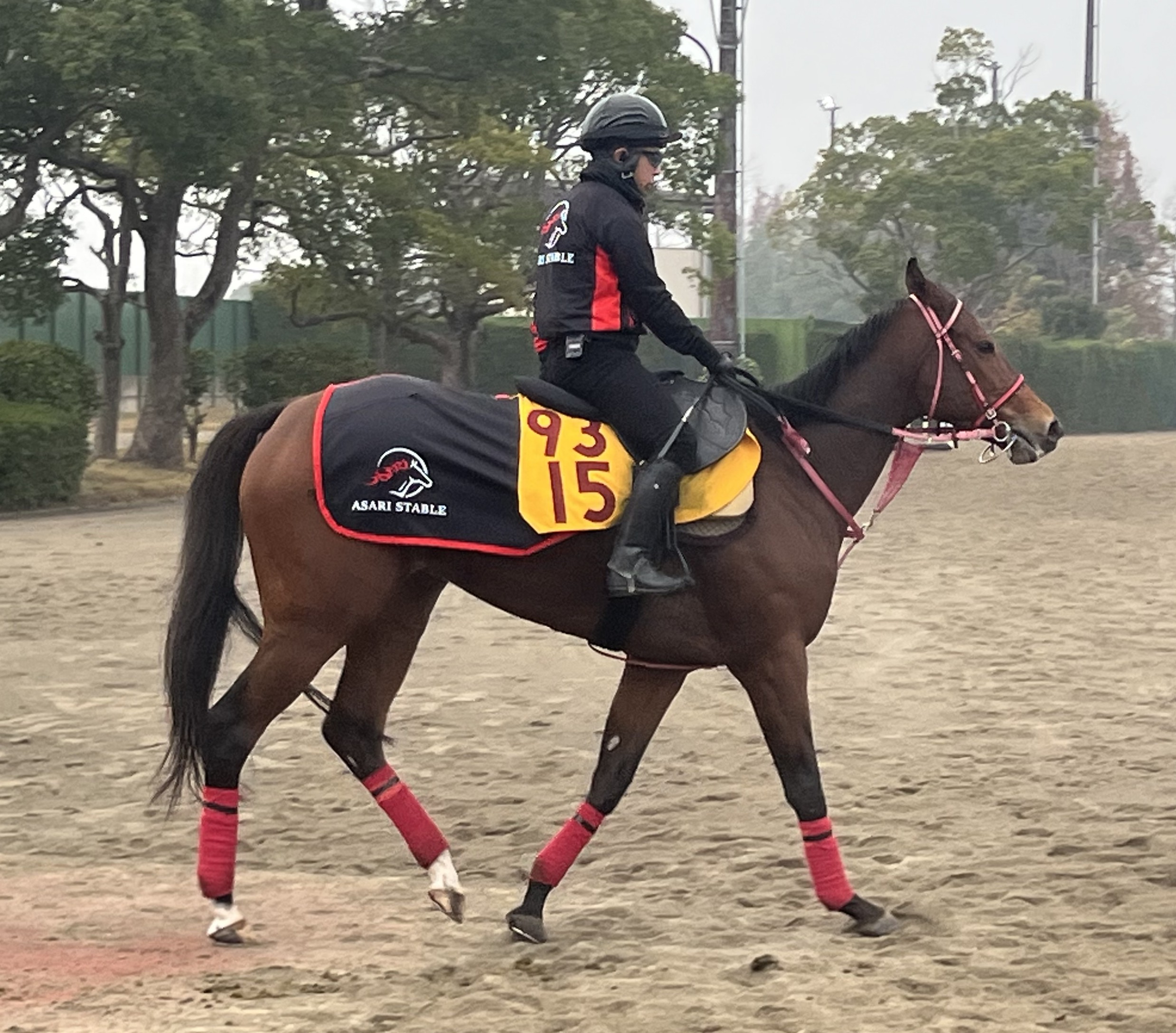 画像サムネイル