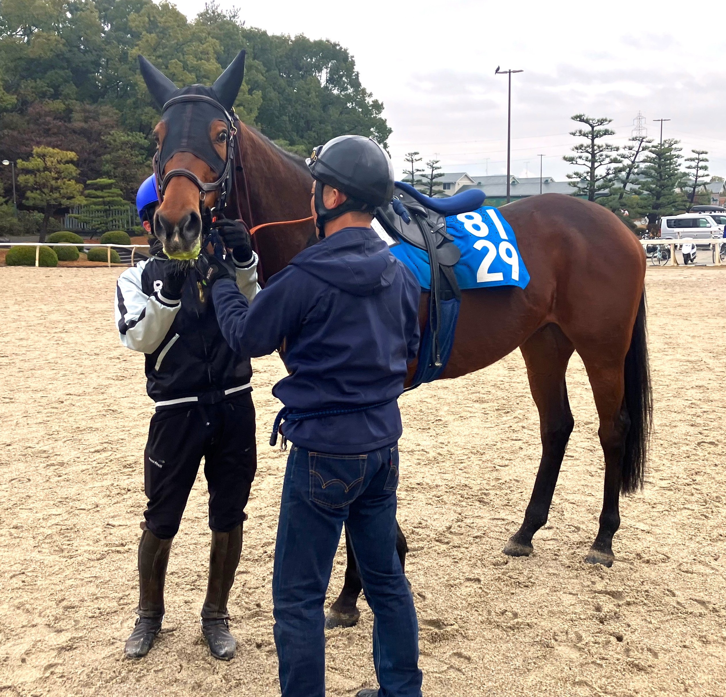 画像サムネイル