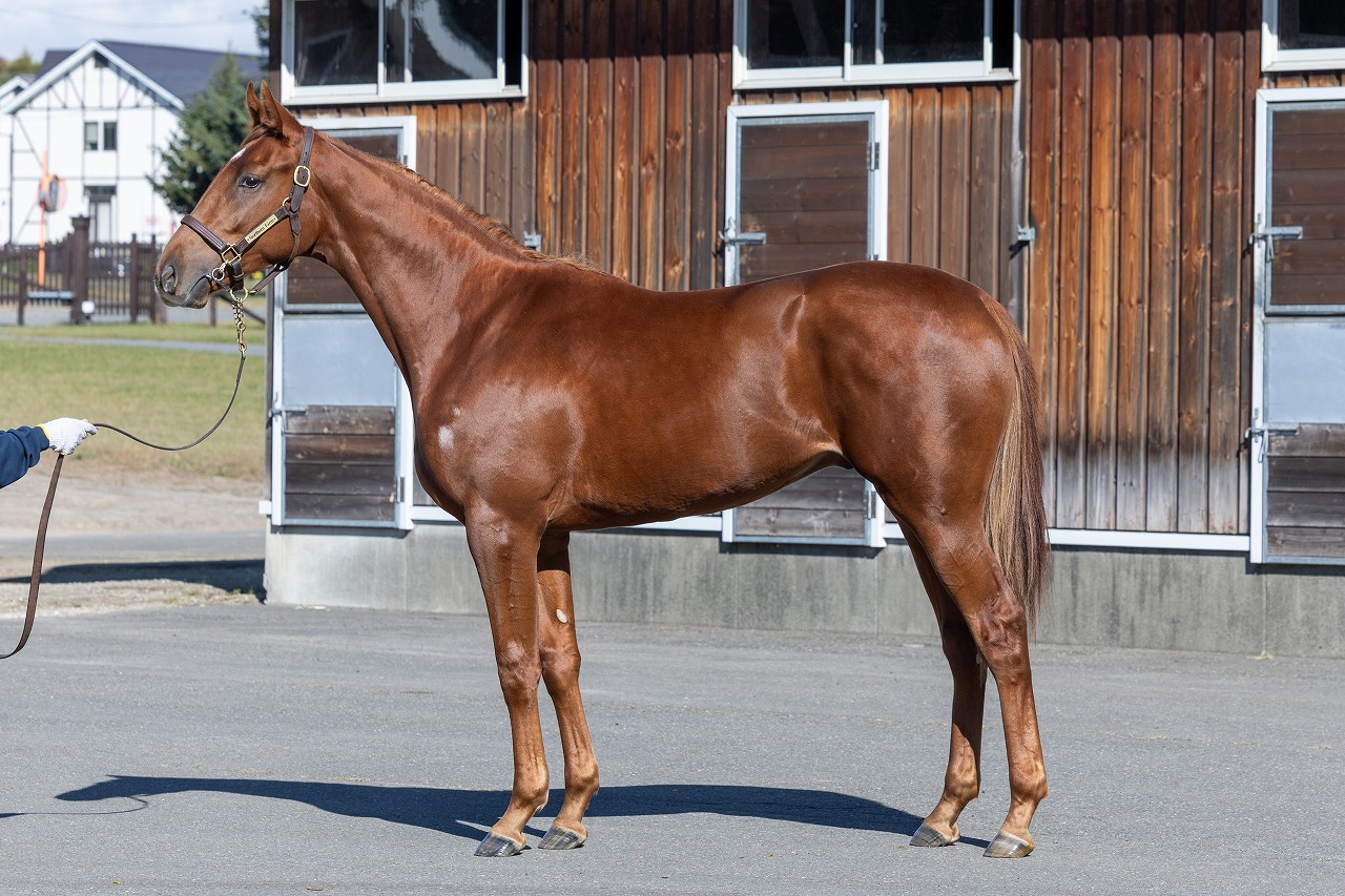 画像サムネイル