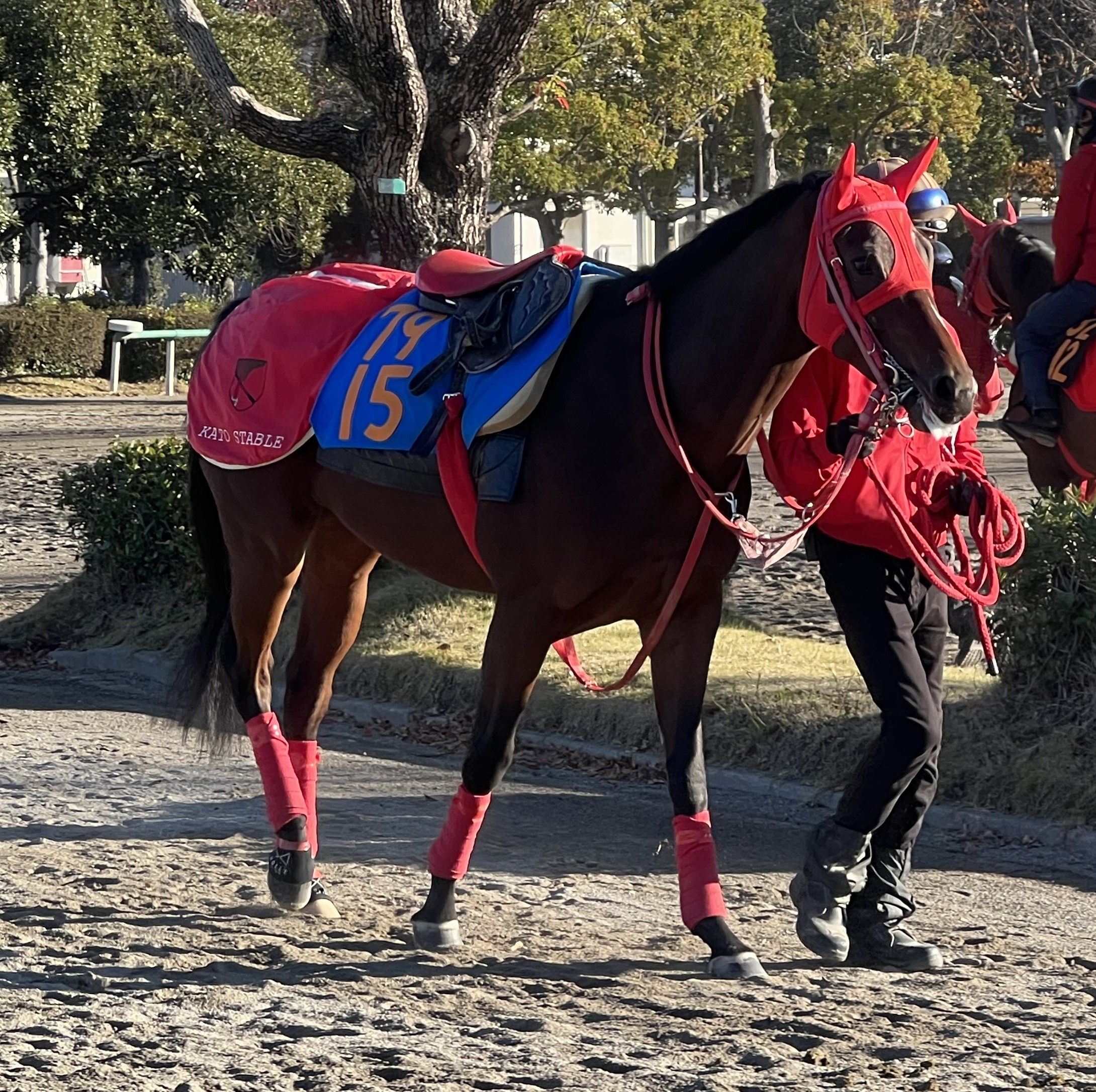 画像サムネイル