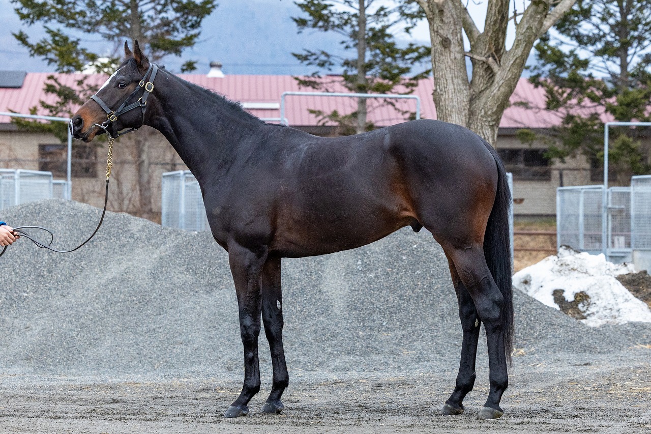 画像サムネイル