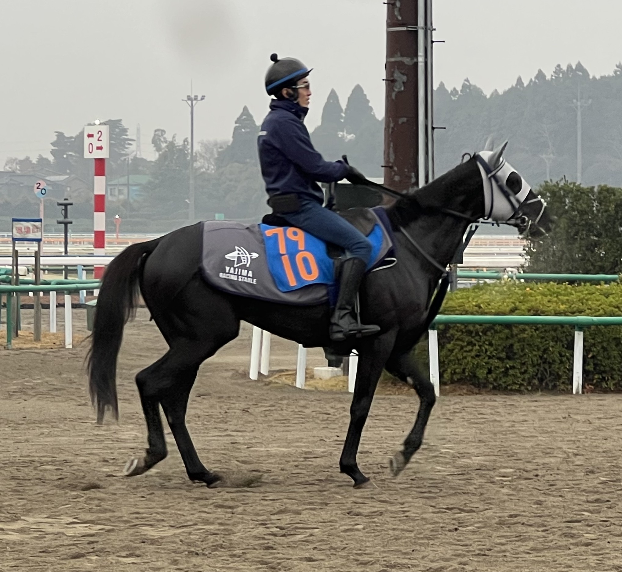 画像サムネイル