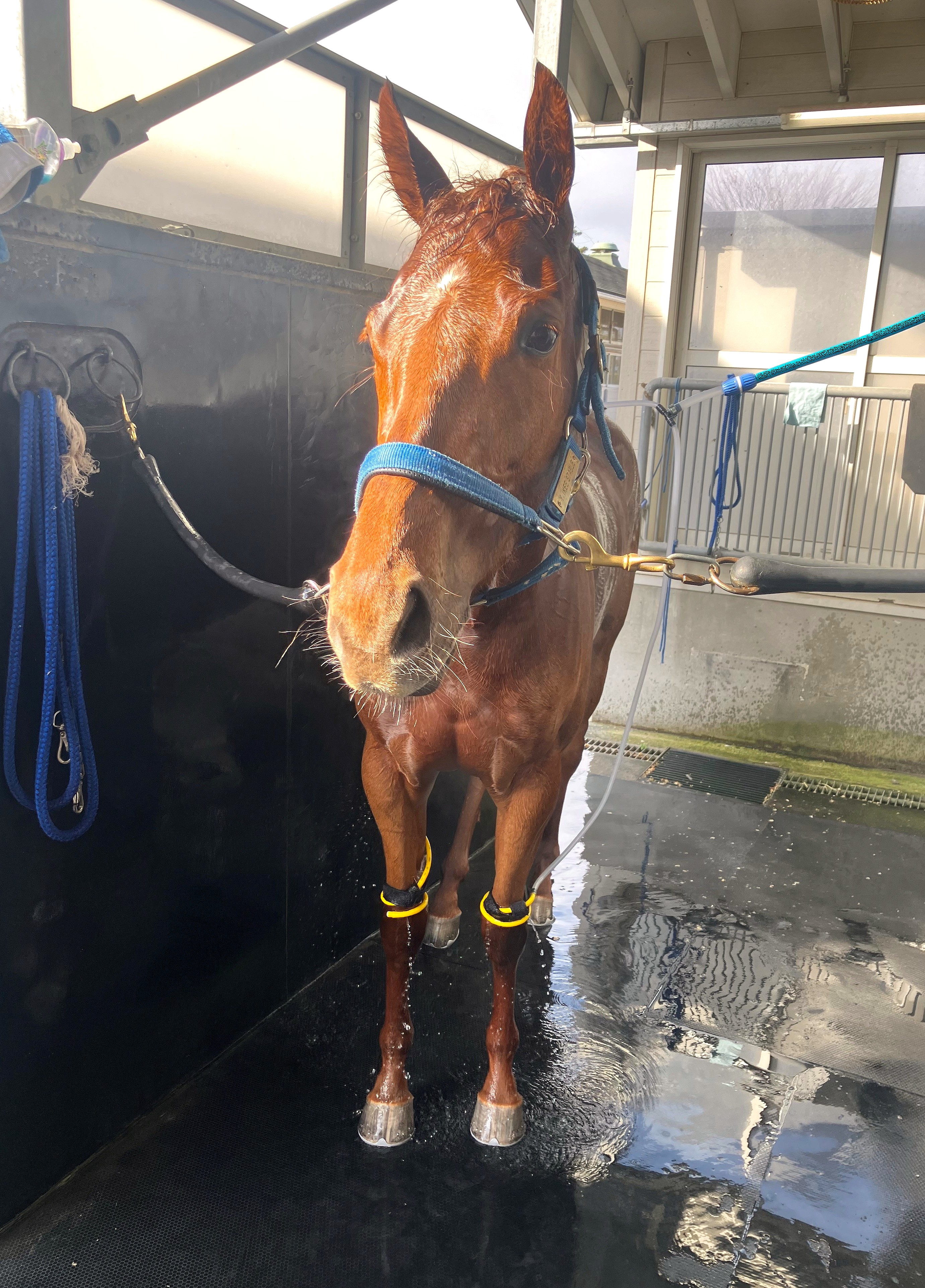 画像サムネイル