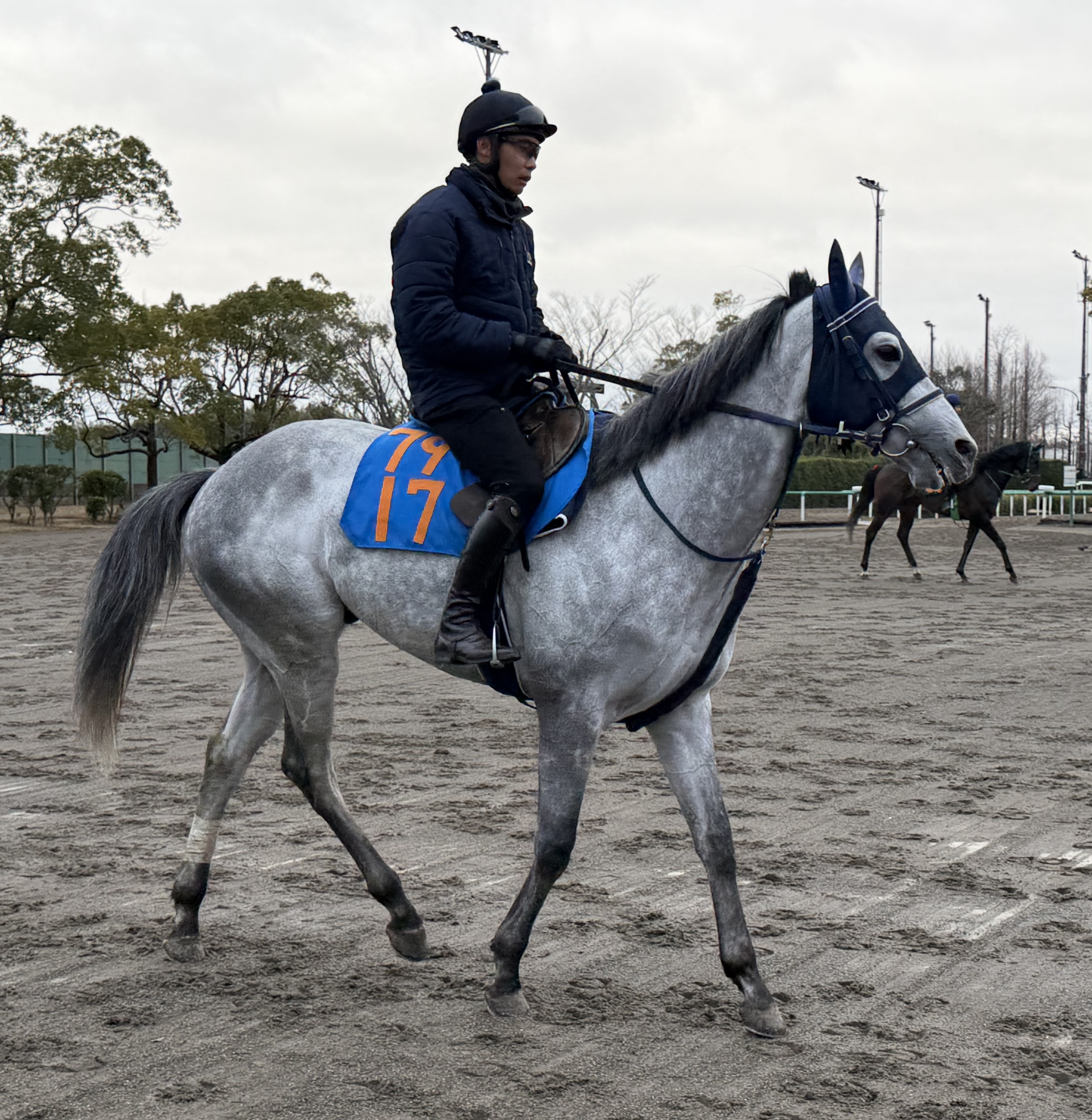 画像サムネイル