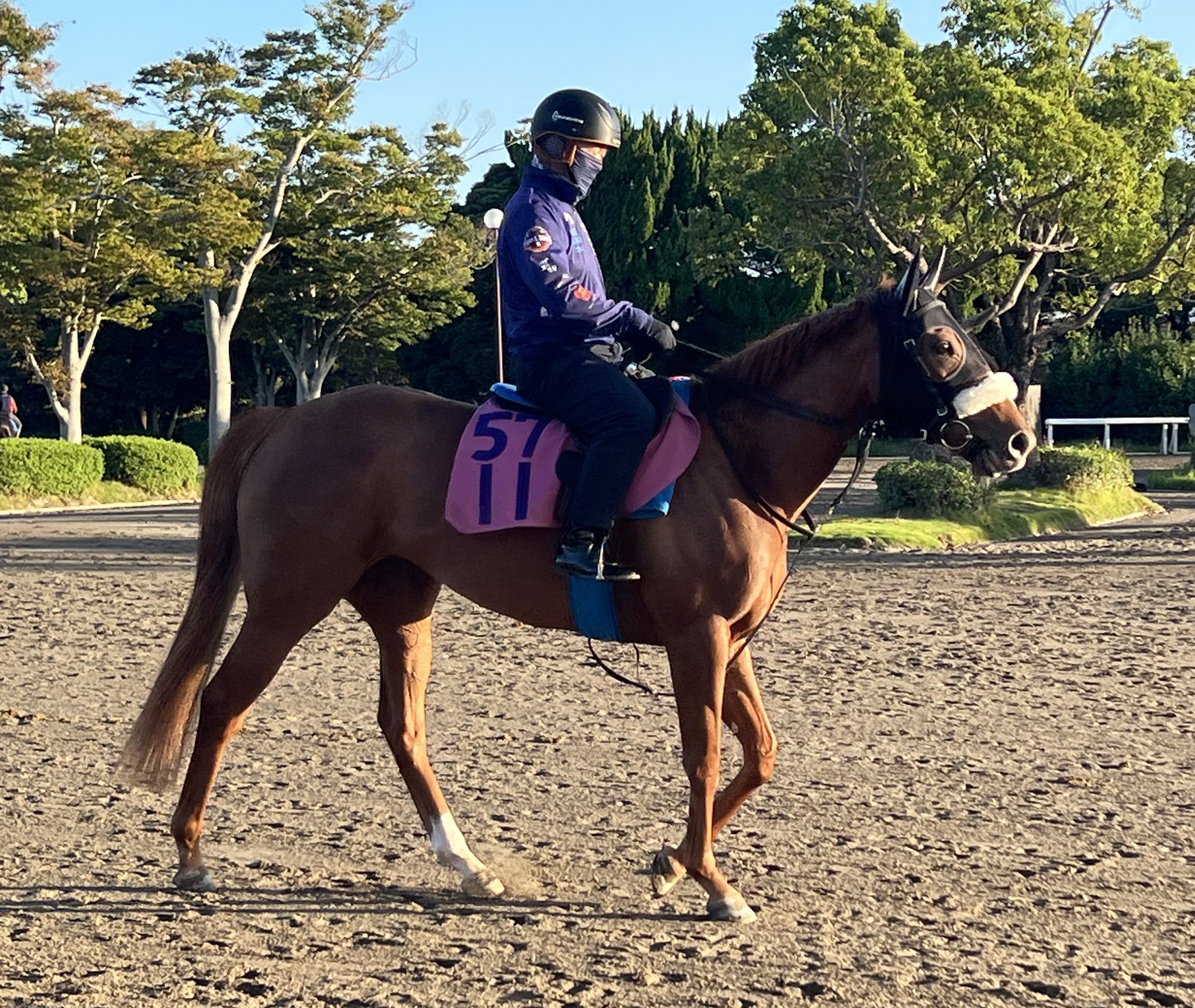 画像サムネイル