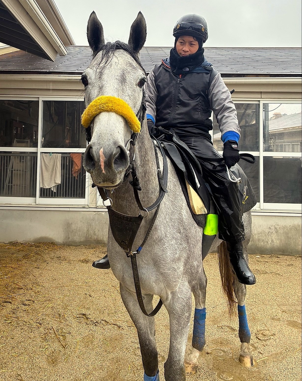 画像サムネイル