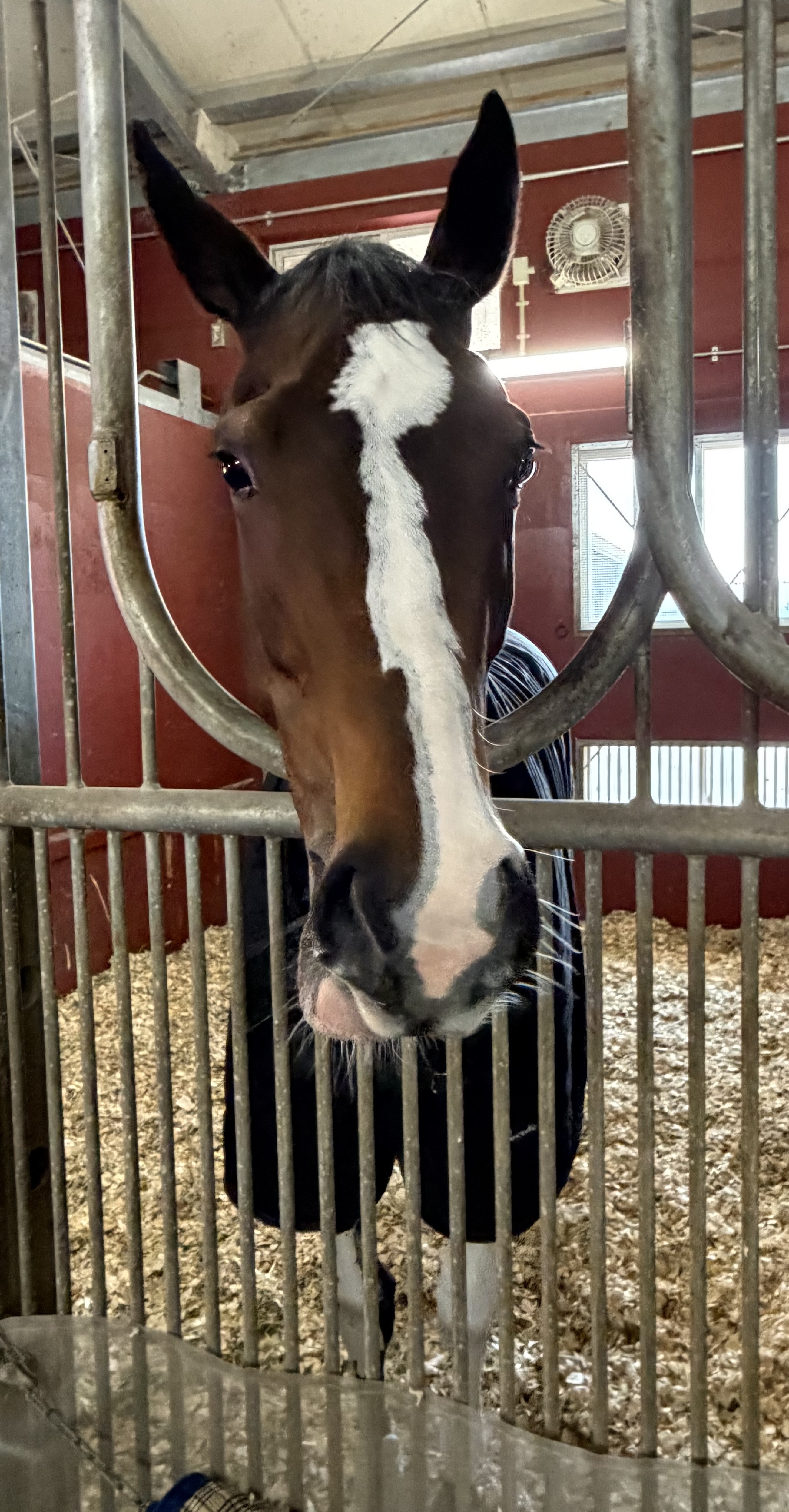 画像サムネイル