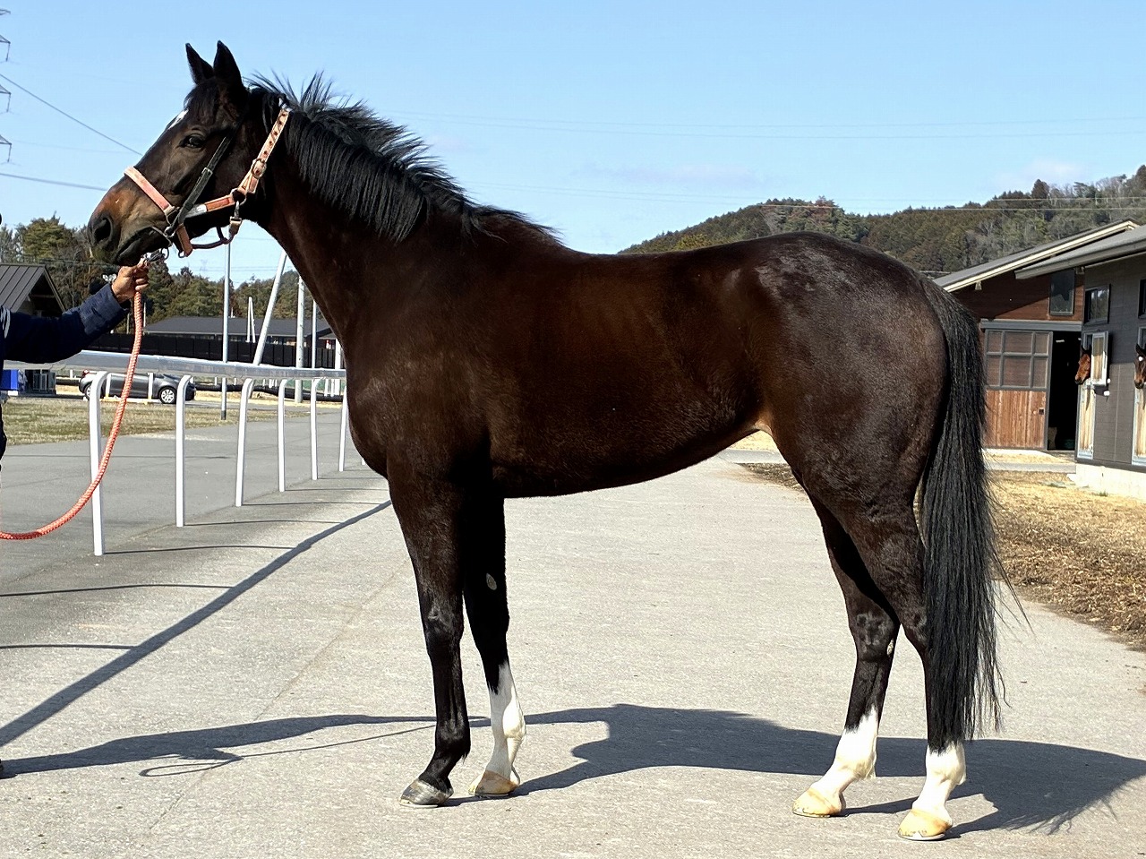 画像サムネイル