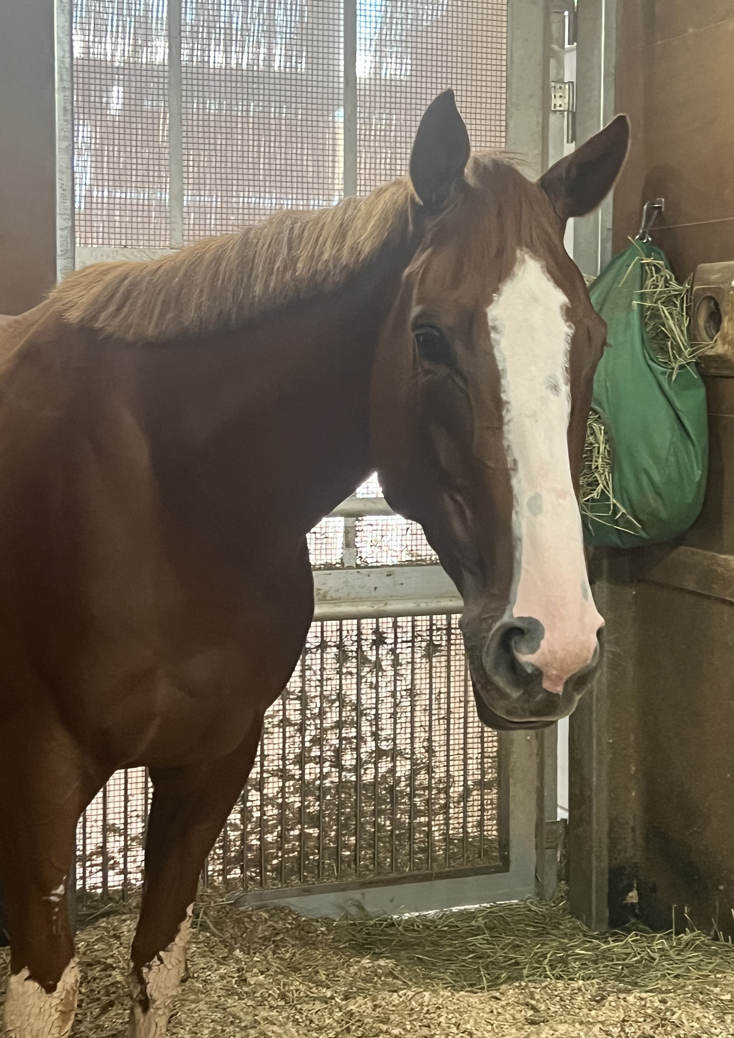 画像サムネイル