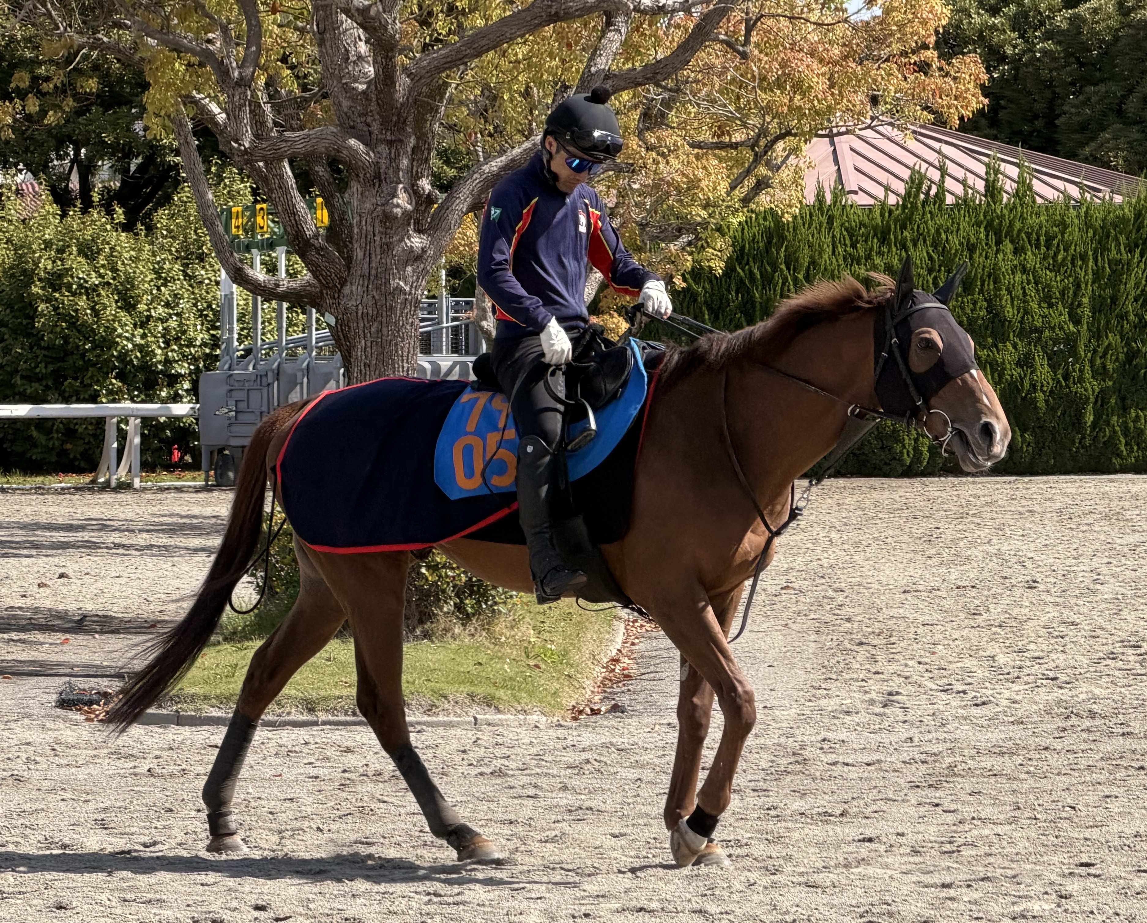 画像サムネイル