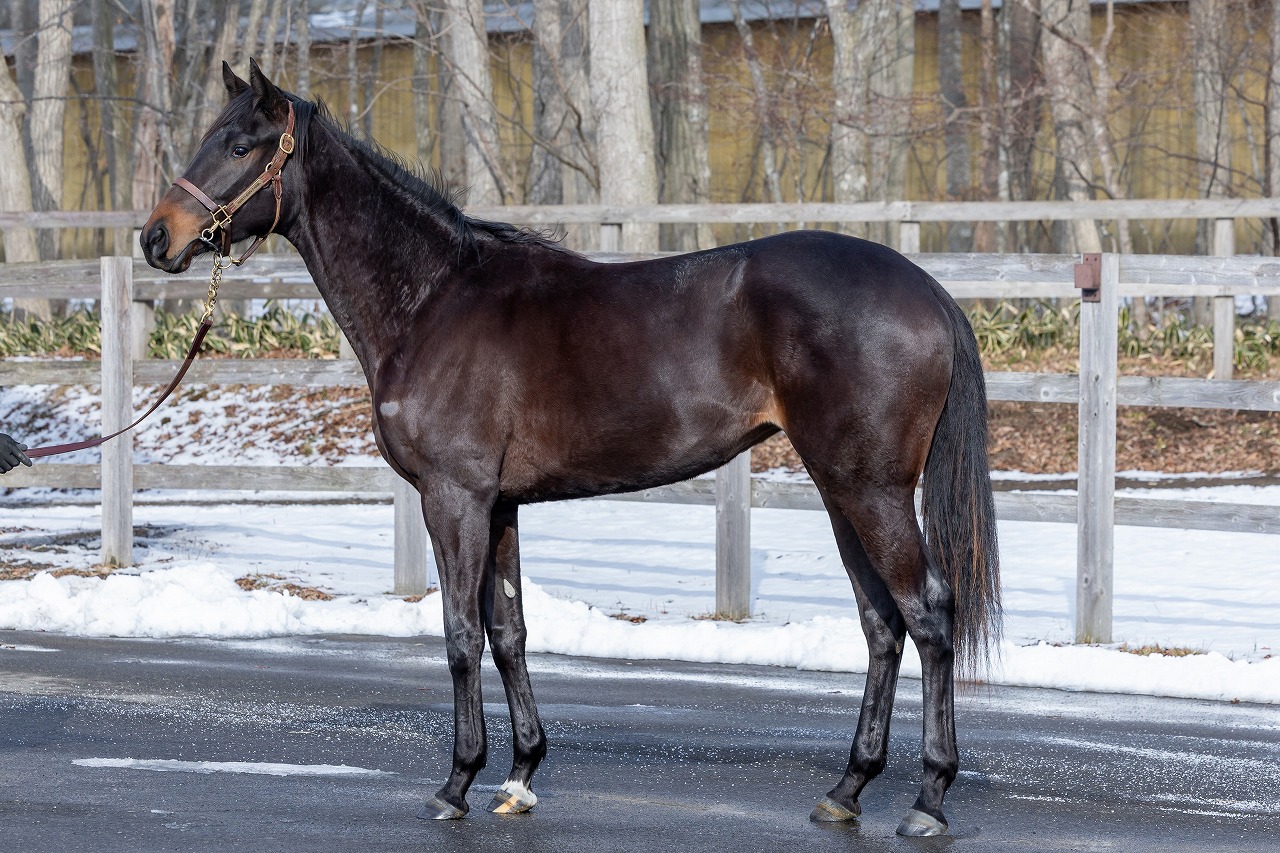 画像サムネイル