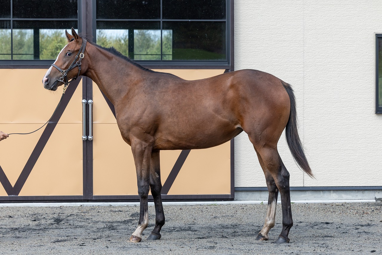 画像サムネイル