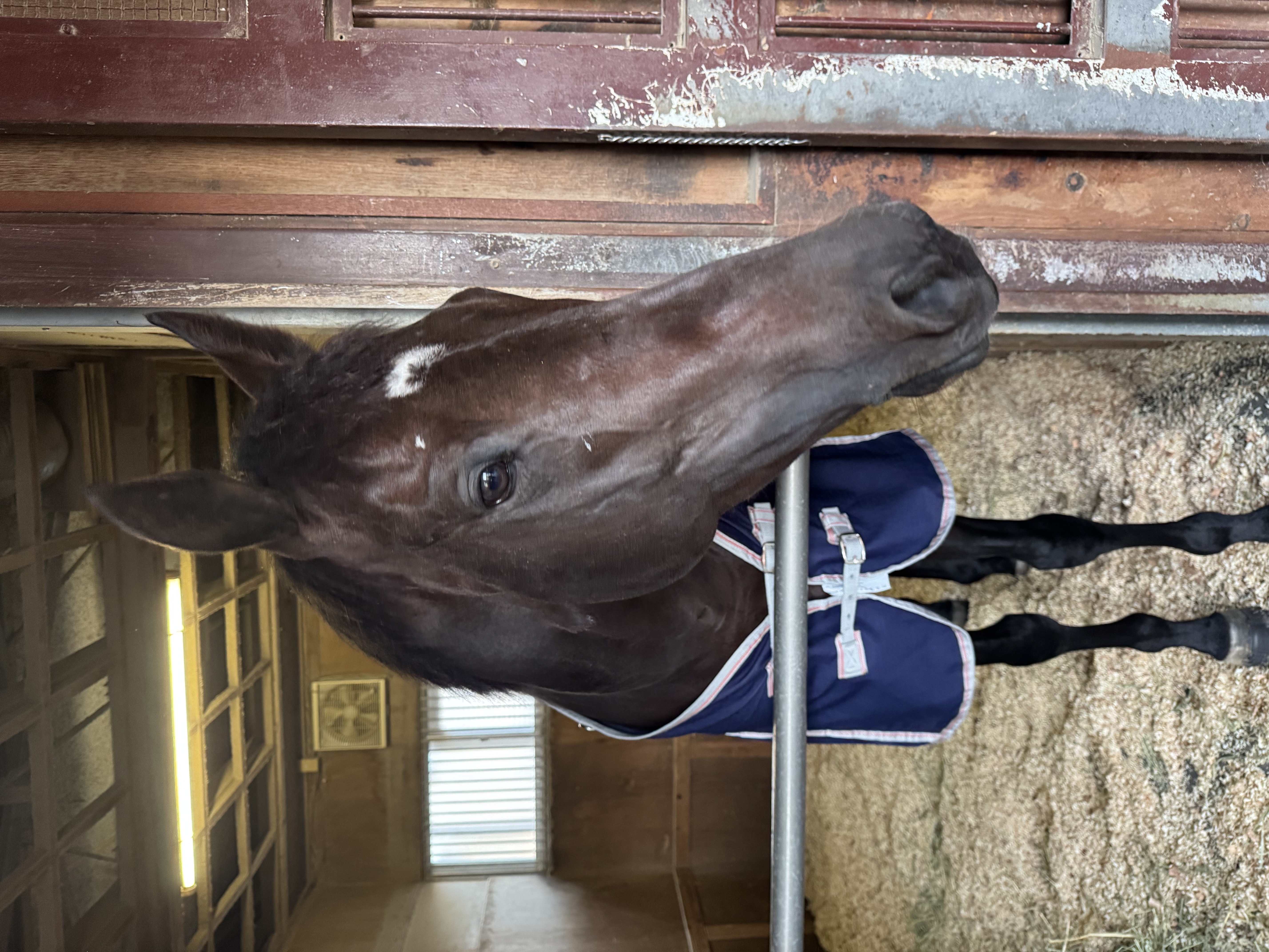 画像サムネイル