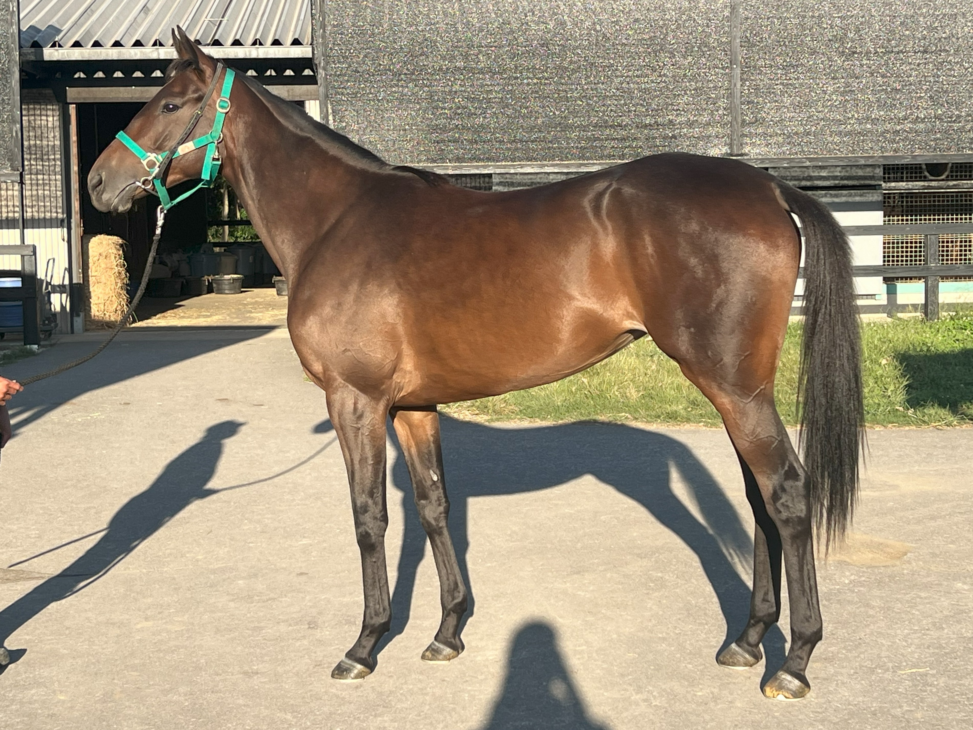 画像サムネイル