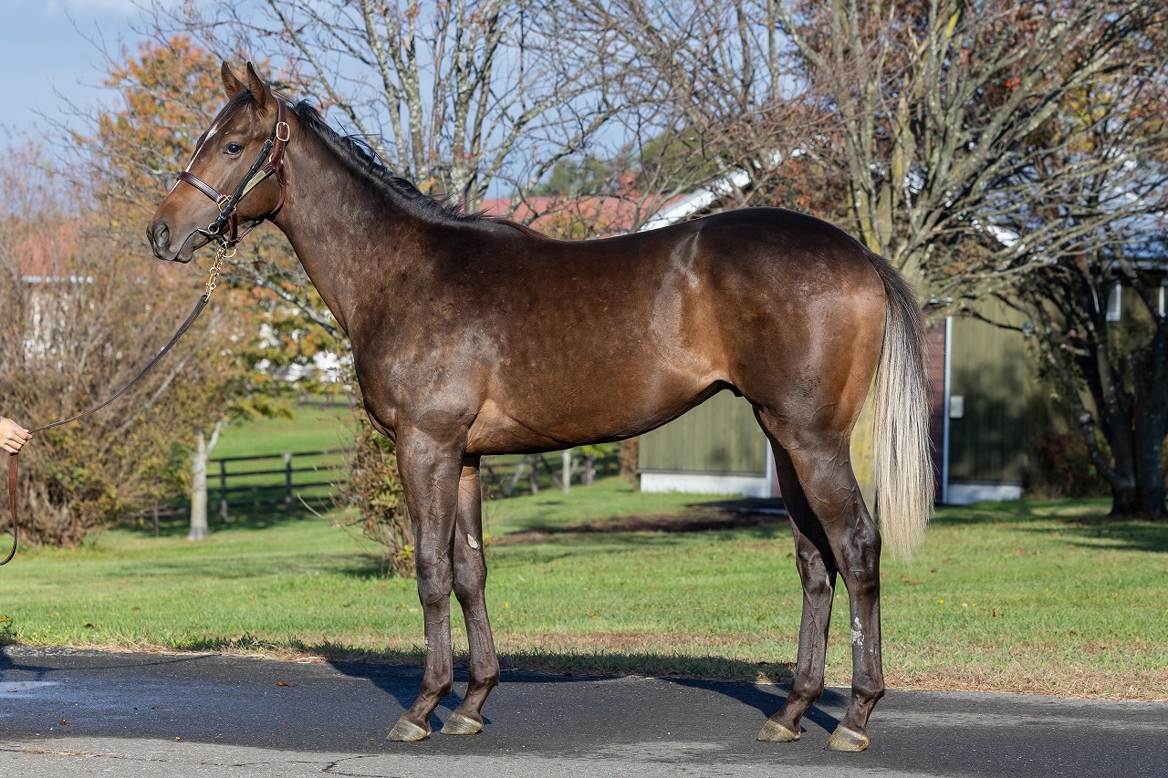 画像サムネイル