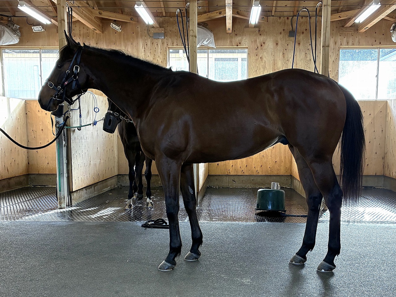 画像サムネイル