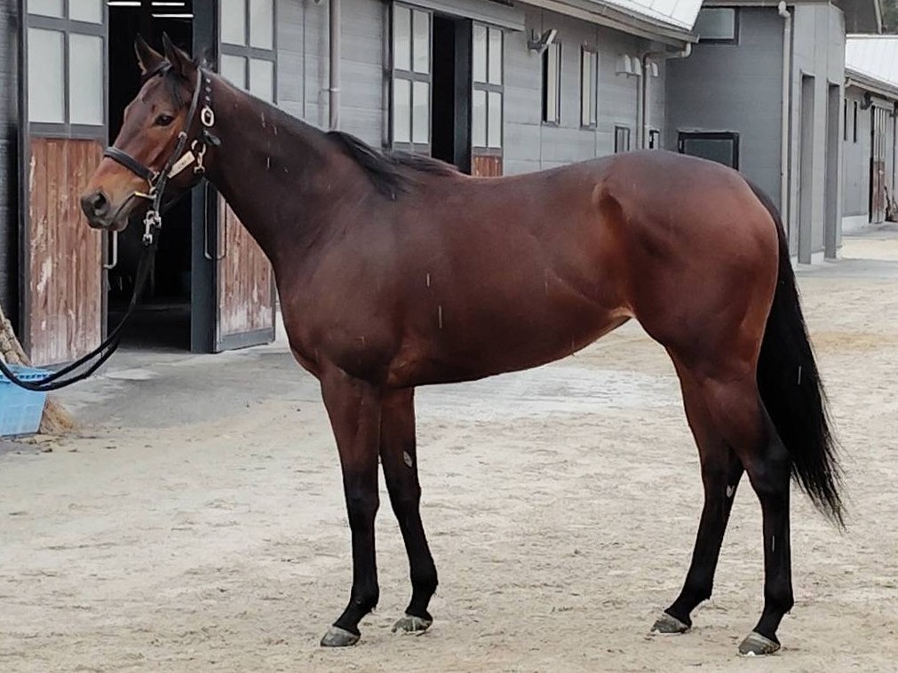 画像サムネイル