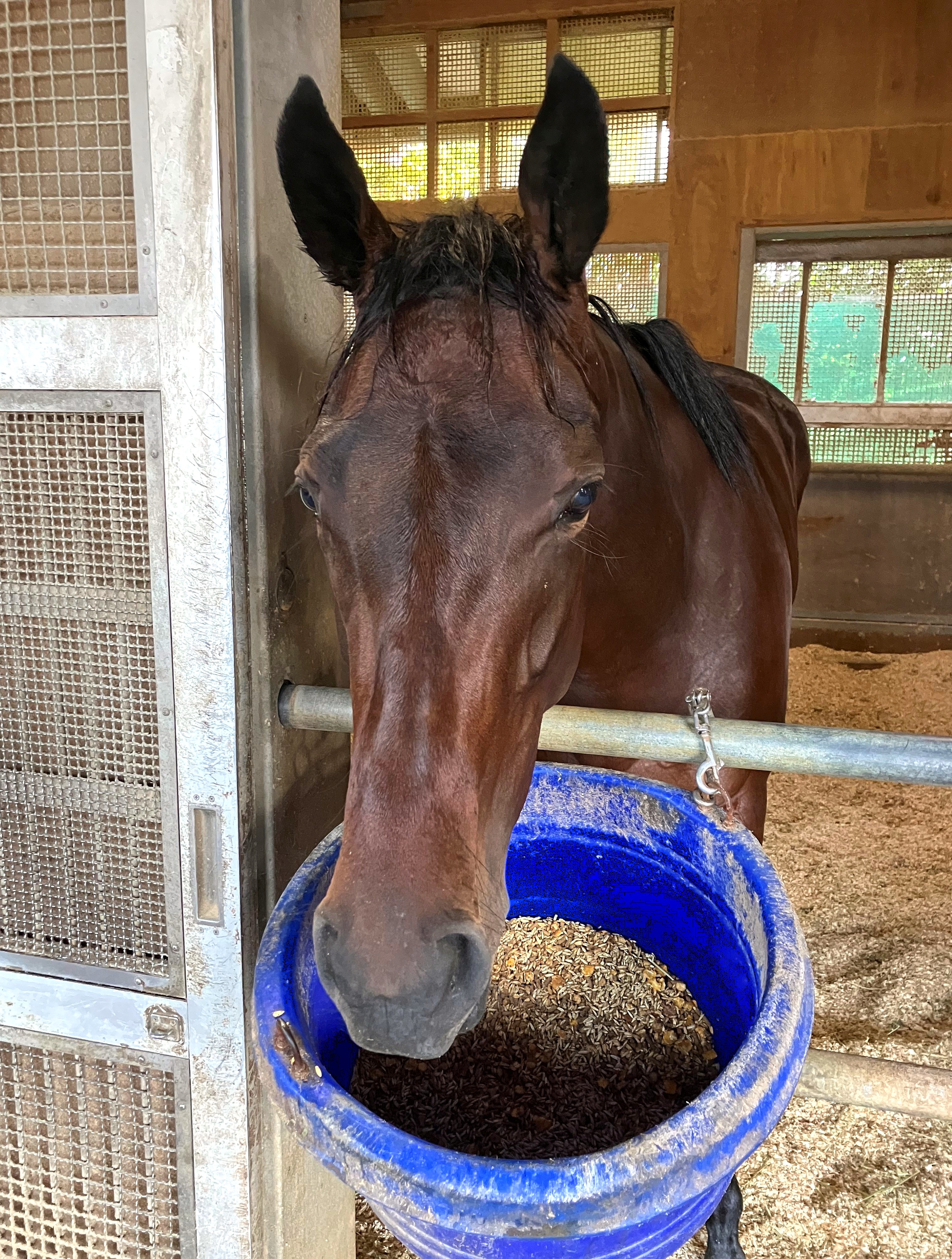 画像サムネイル