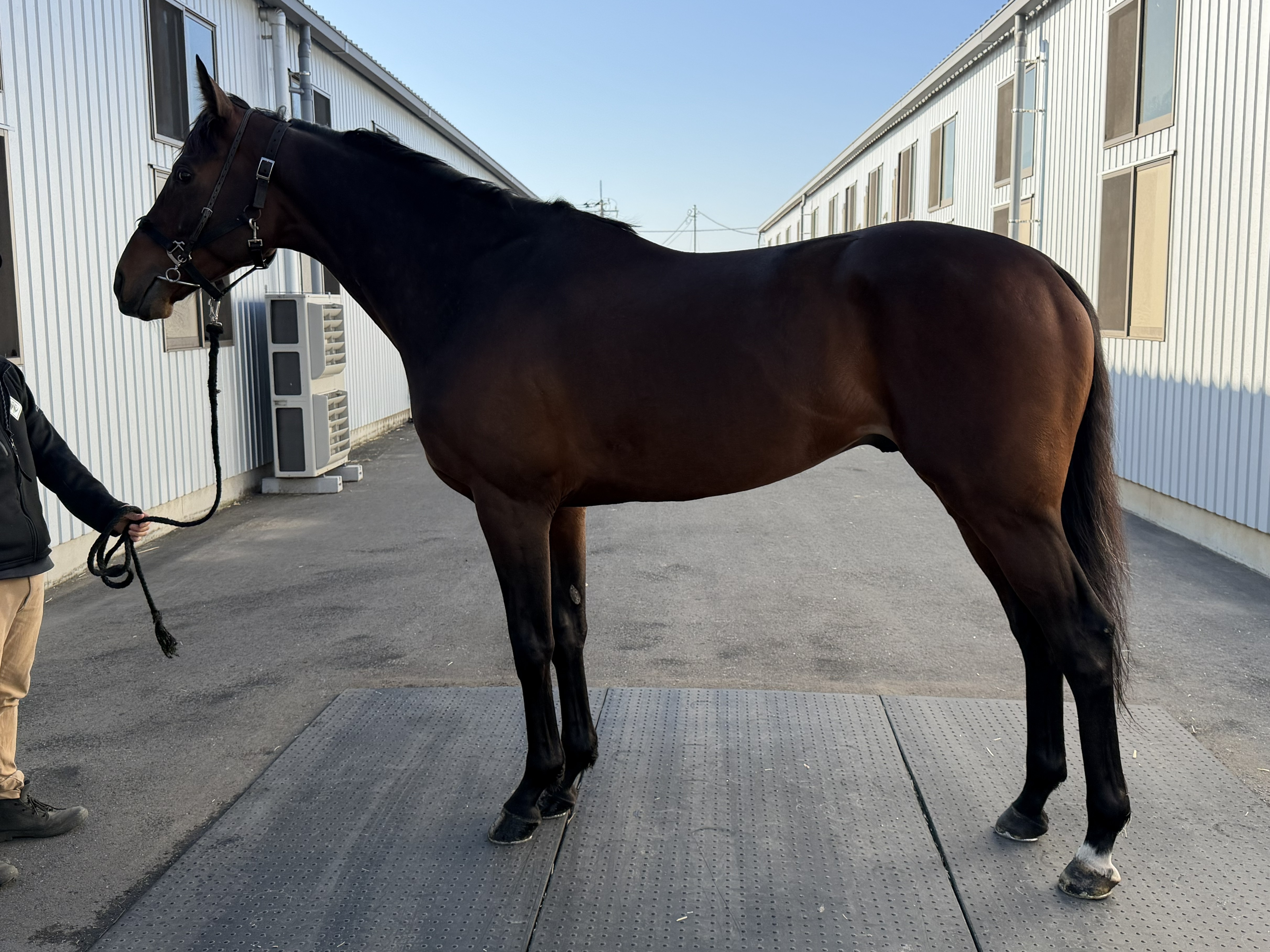 画像サムネイル