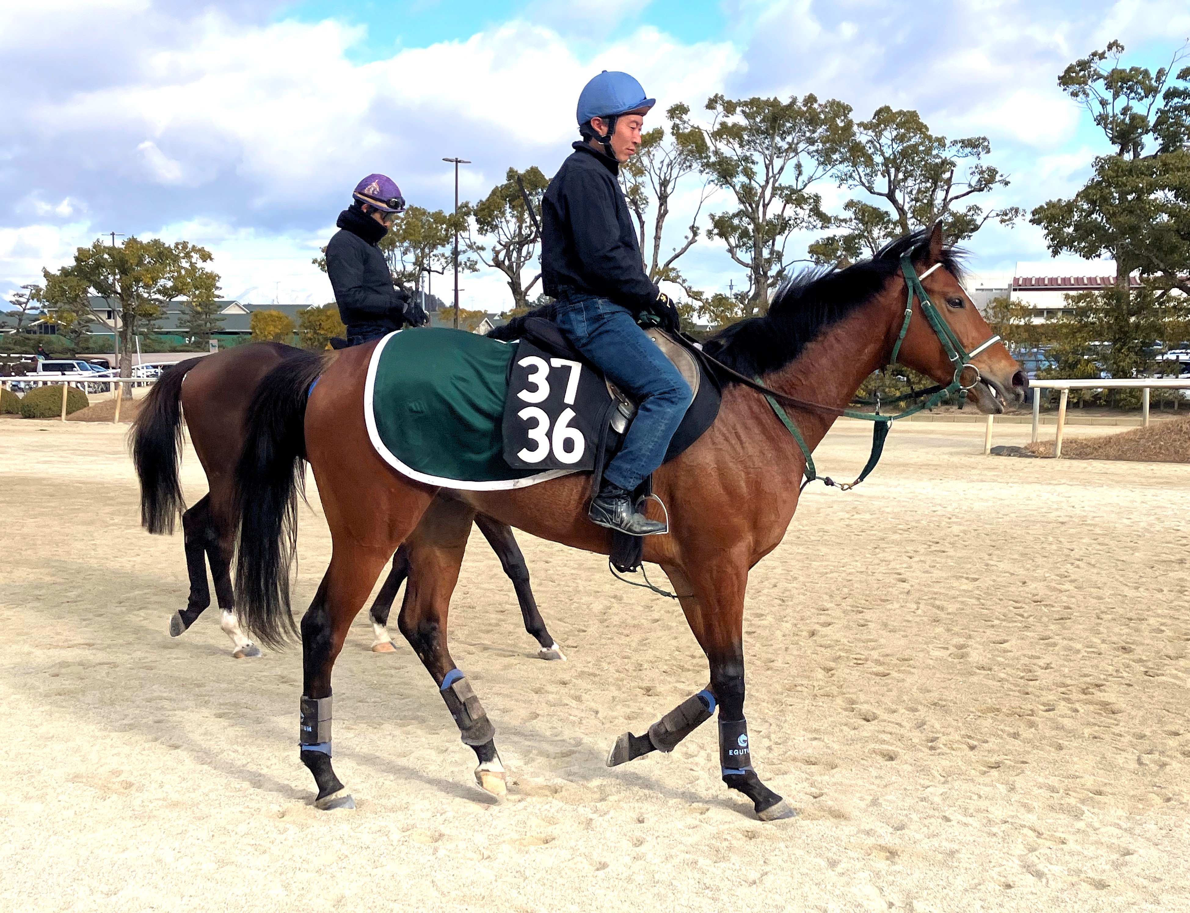 画像サムネイル