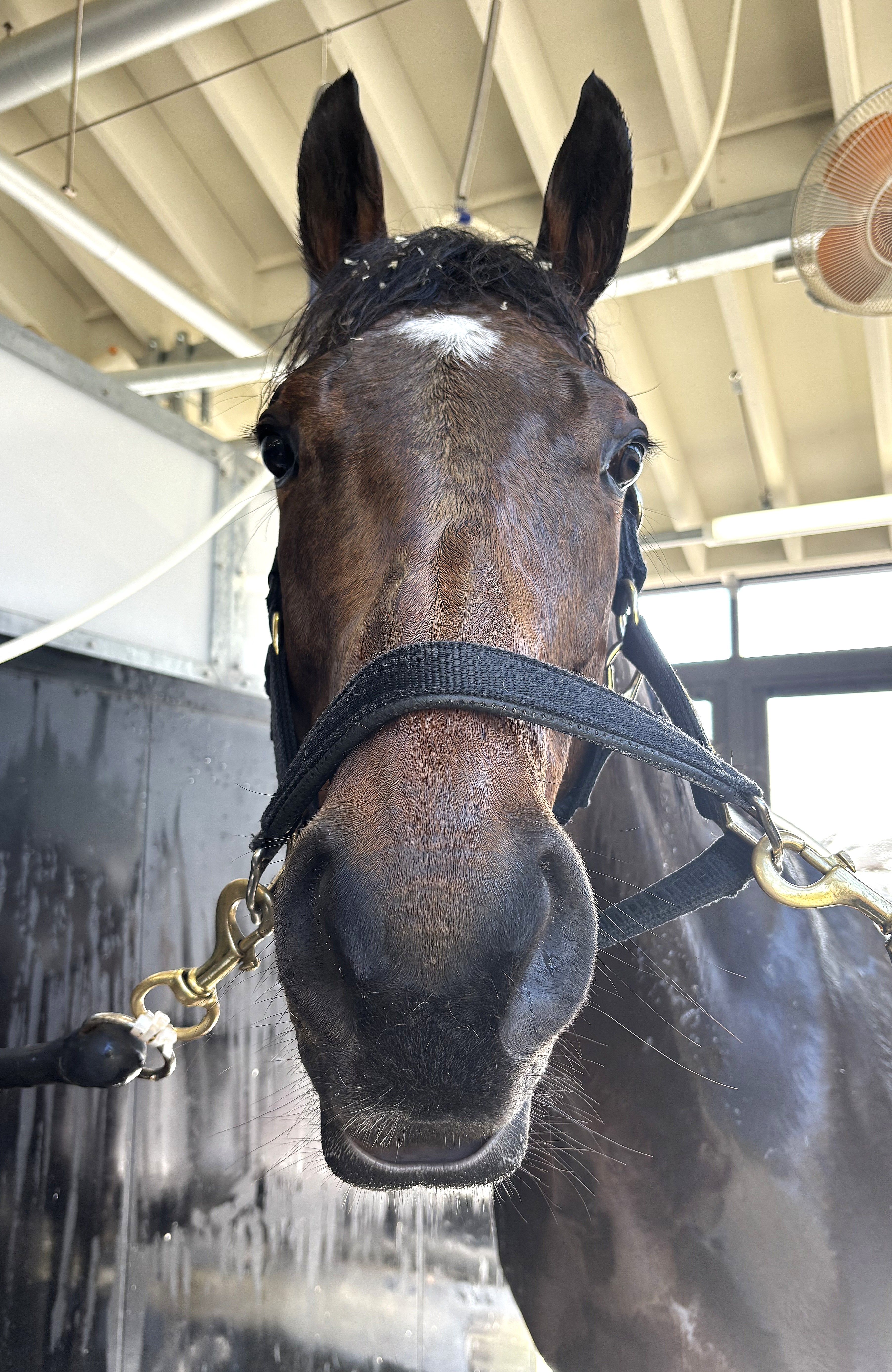 画像サムネイル