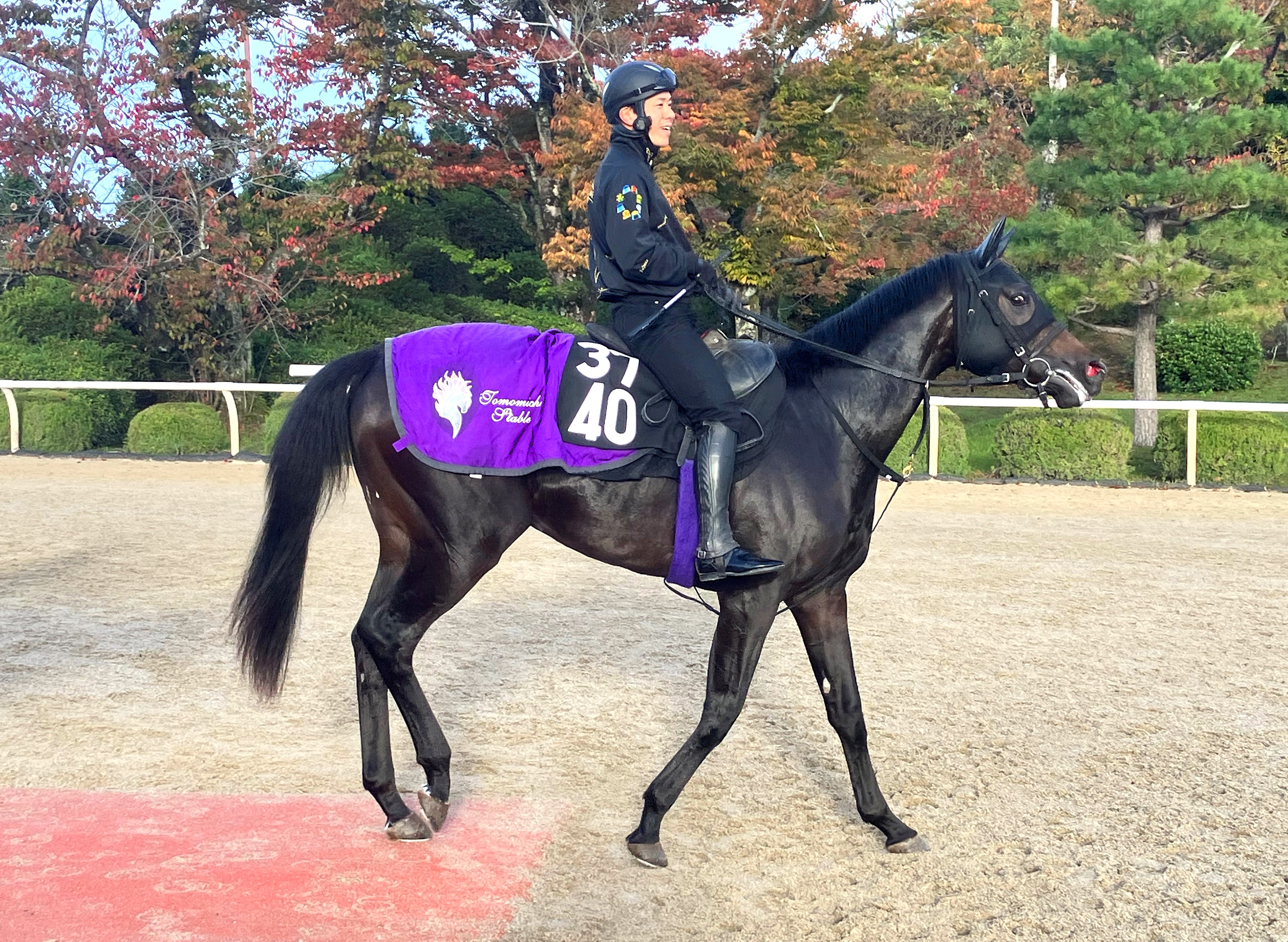 画像サムネイル