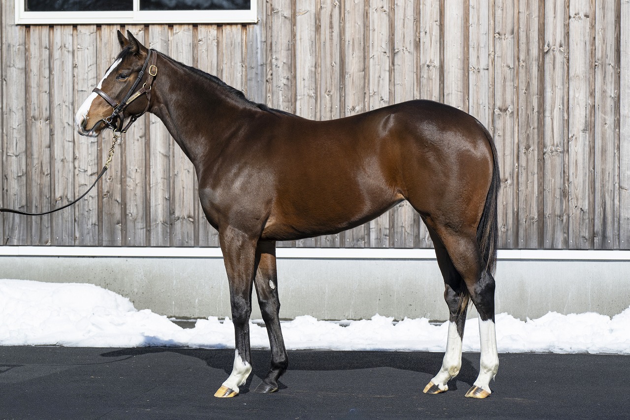 画像サムネイル