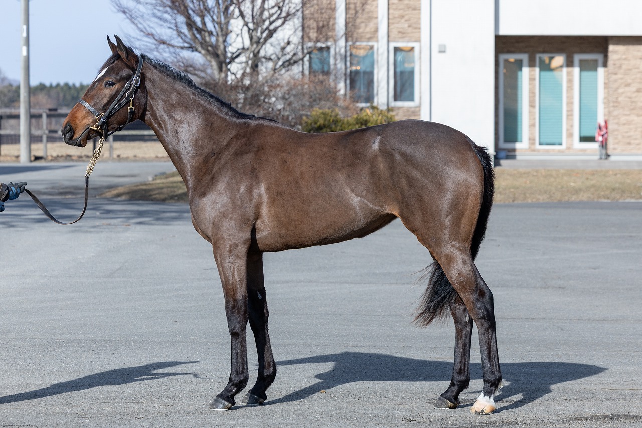 画像サムネイル