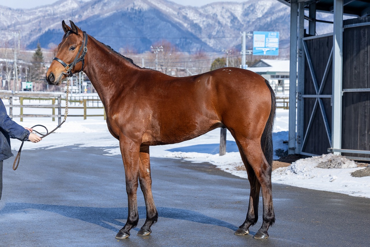 画像サムネイル