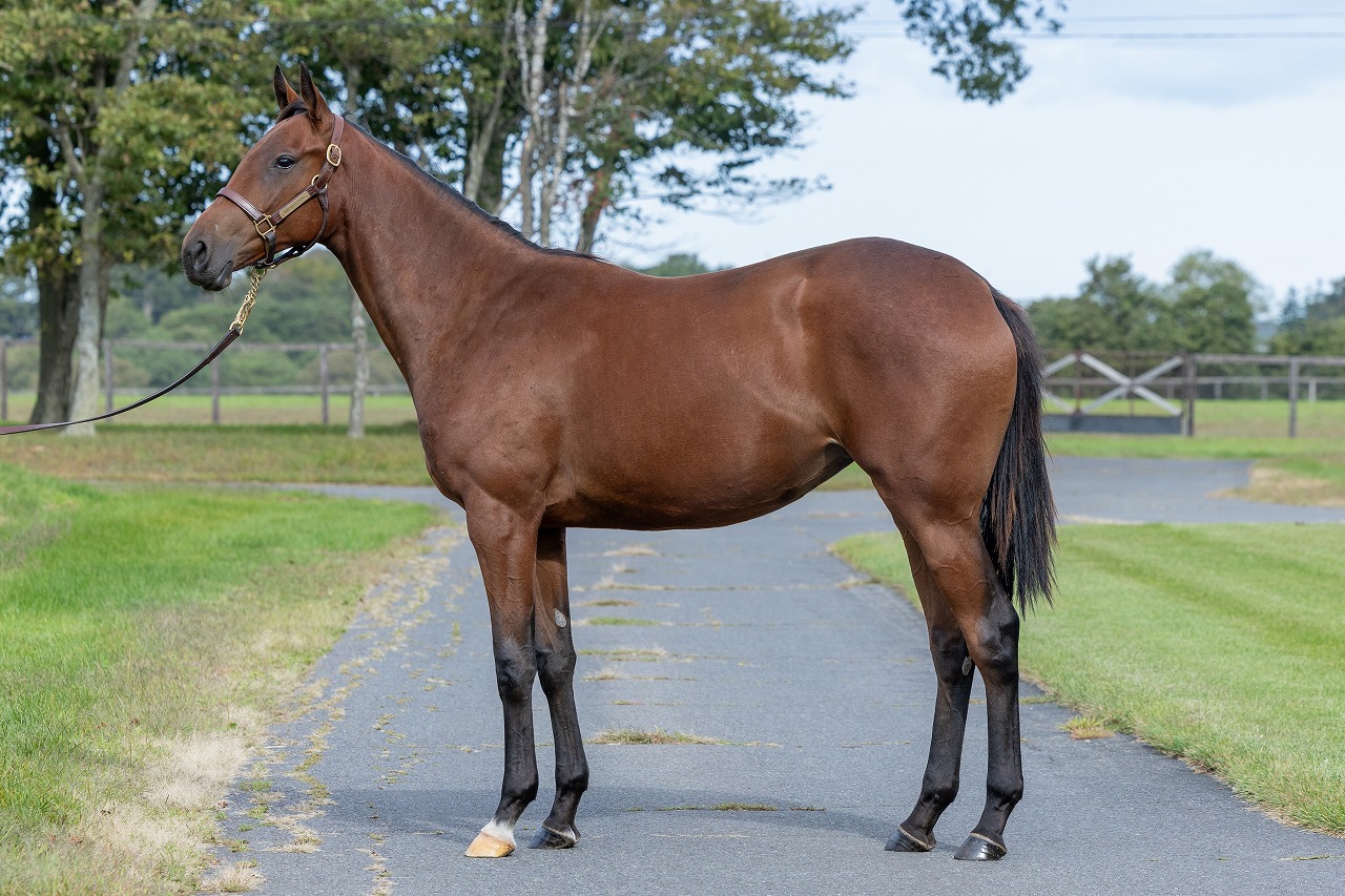 画像サムネイル