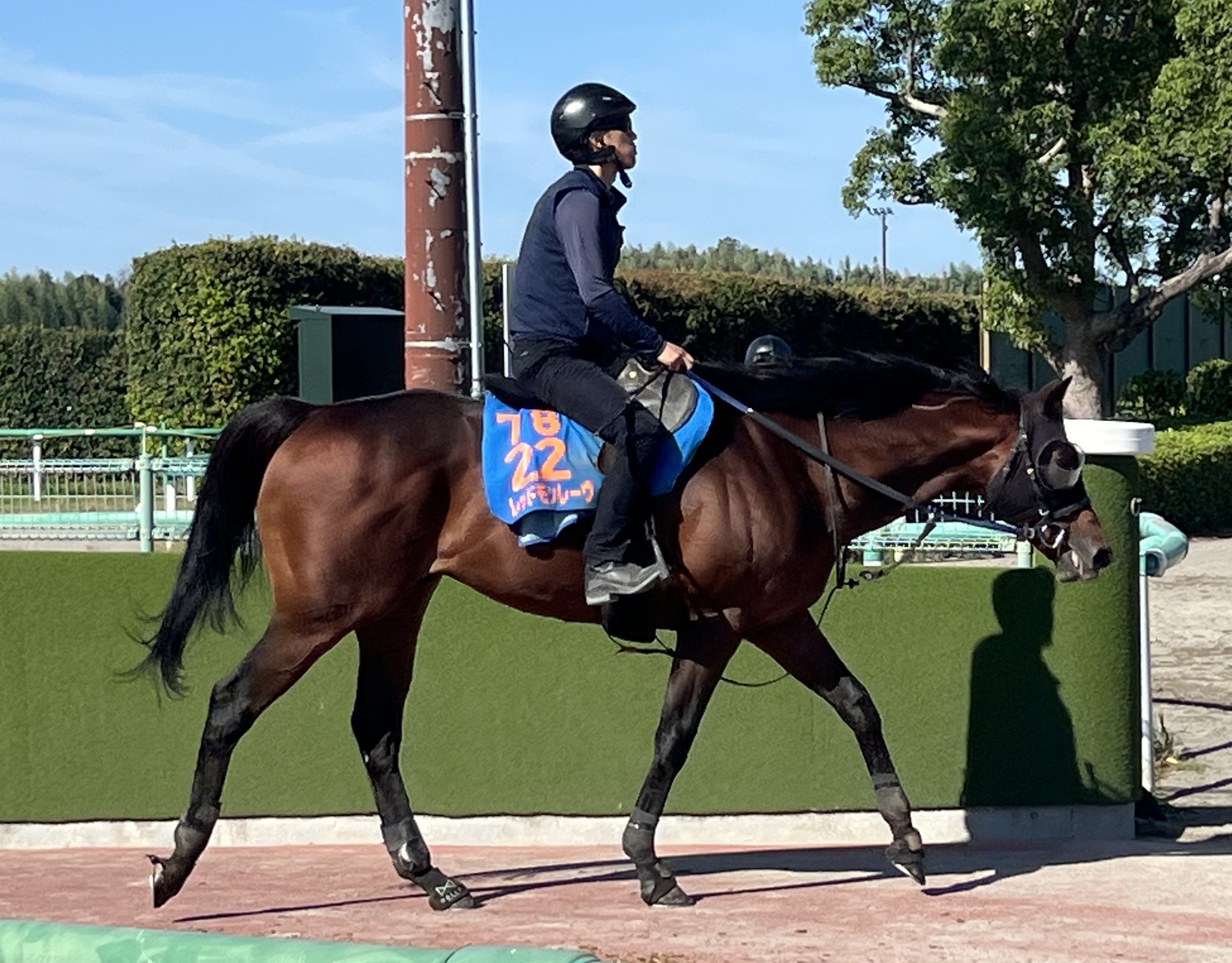 画像サムネイル