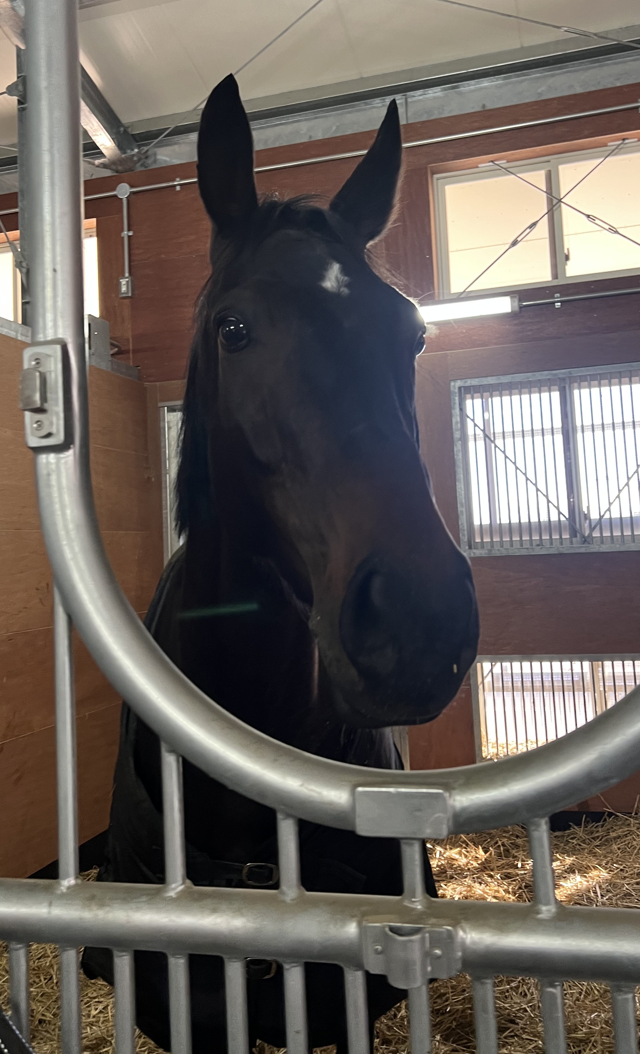 画像サムネイル