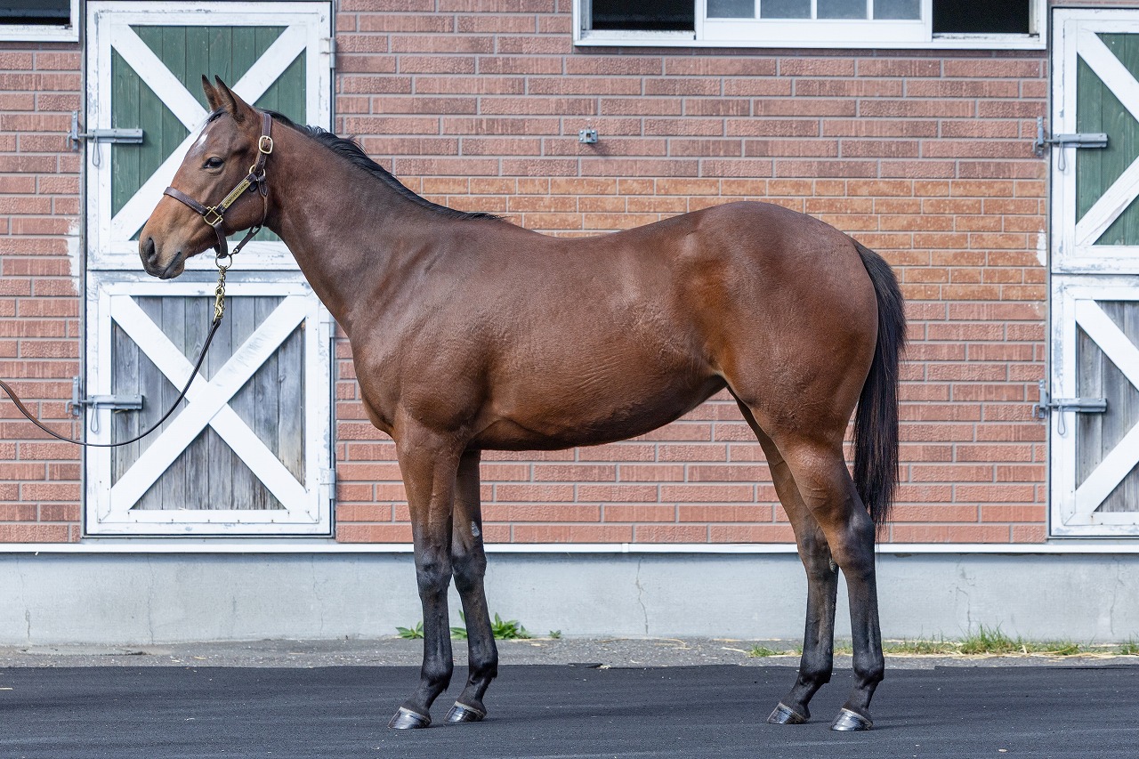 画像サムネイル