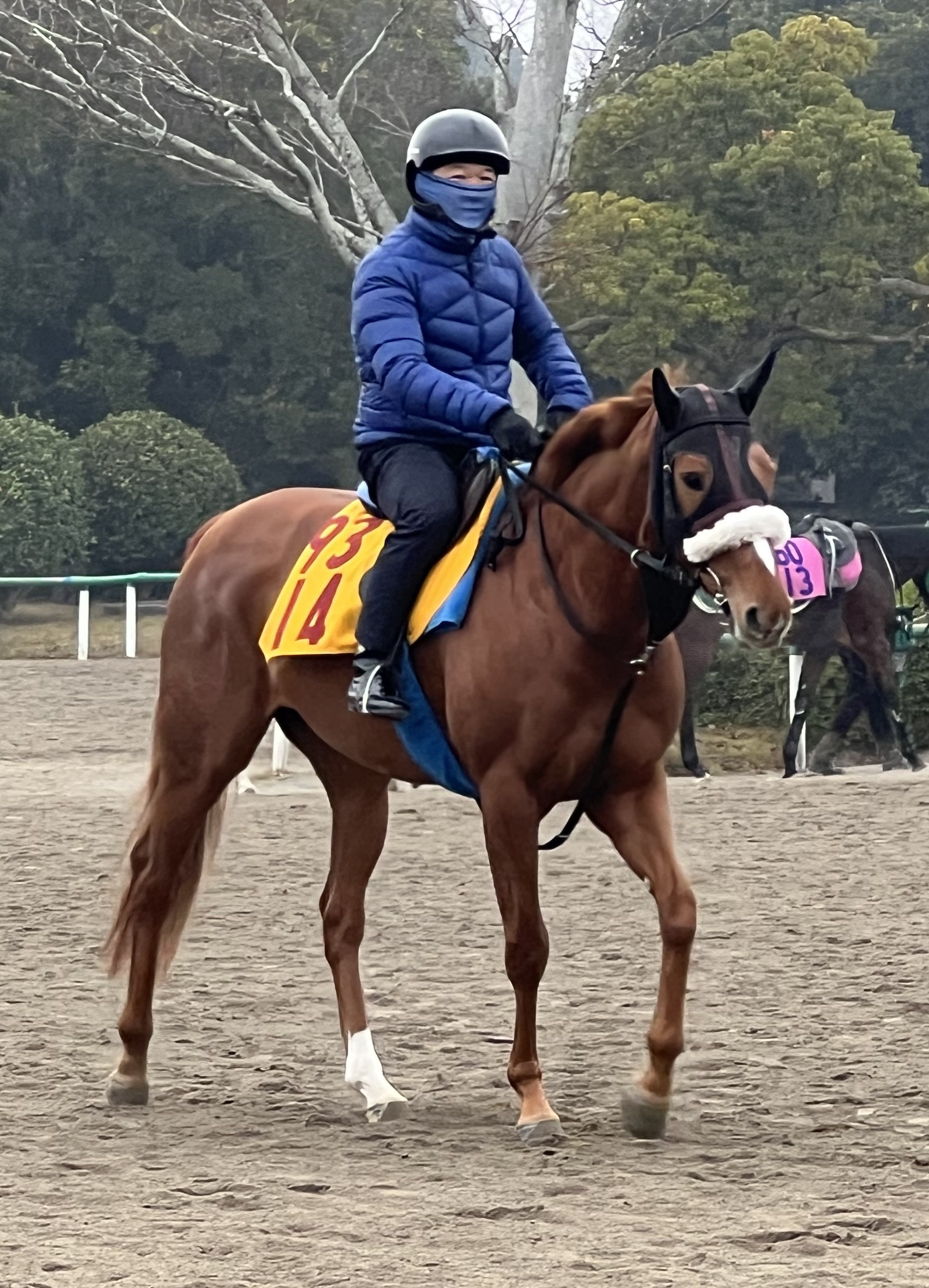 画像サムネイル