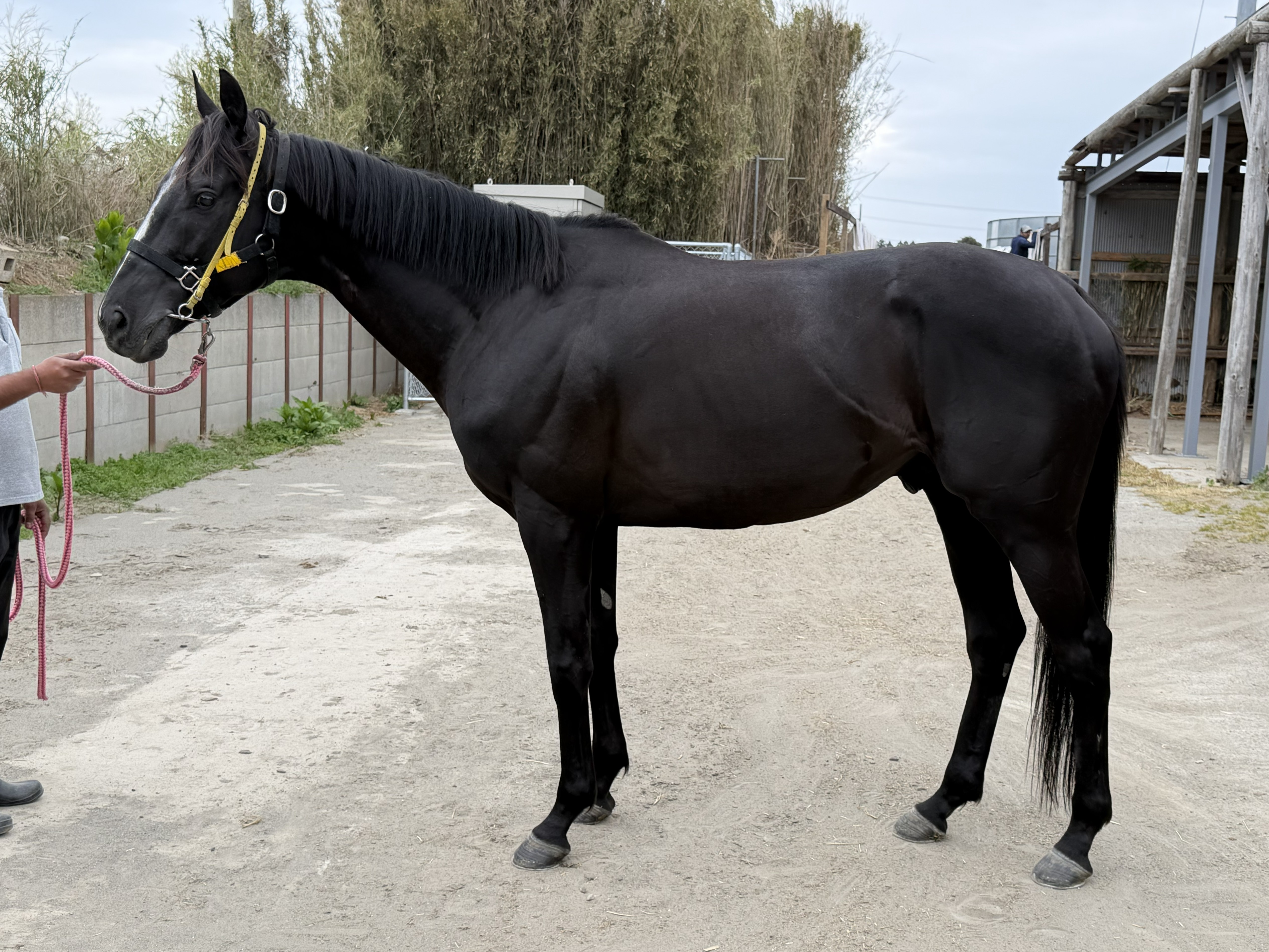 画像サムネイル