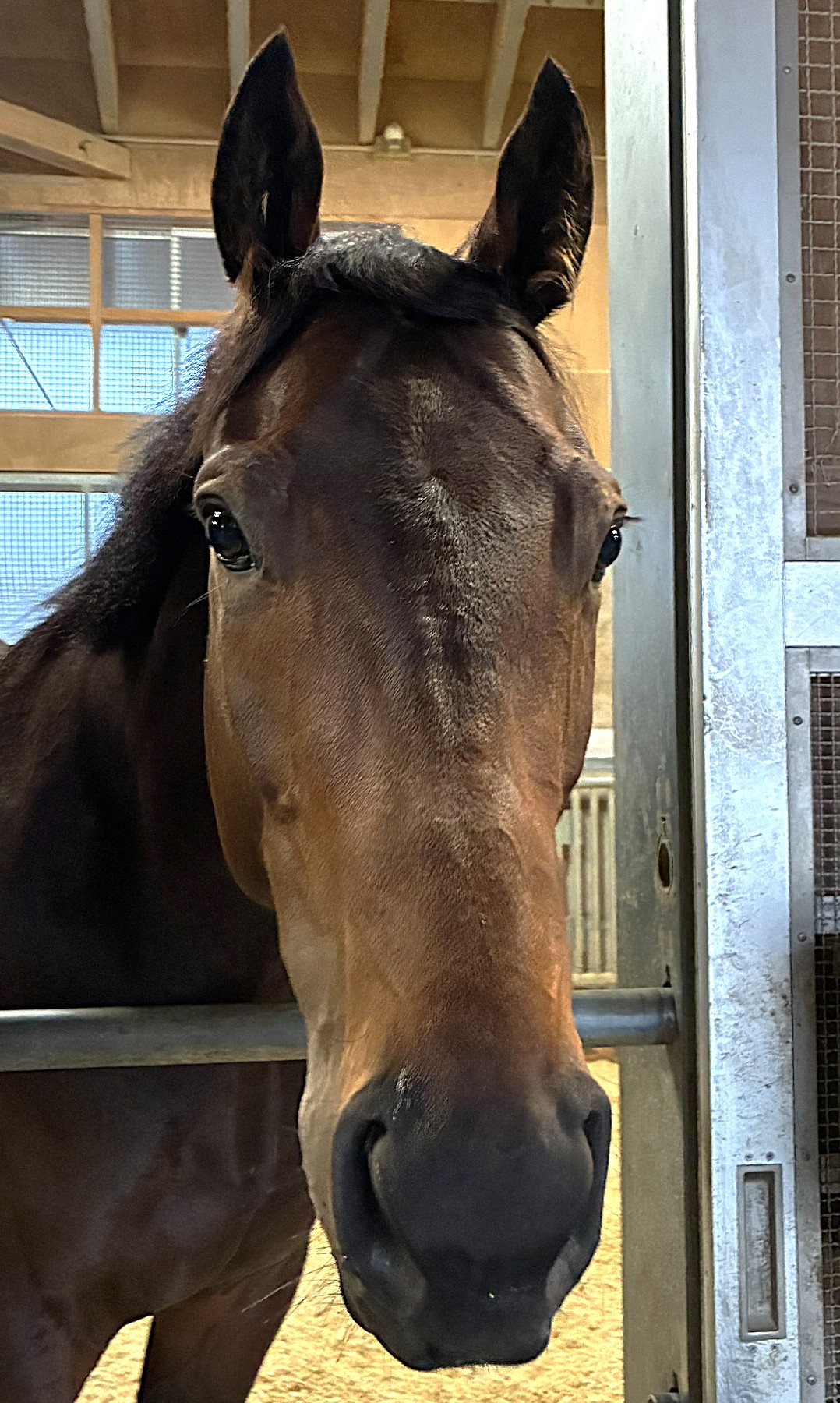 画像サムネイル