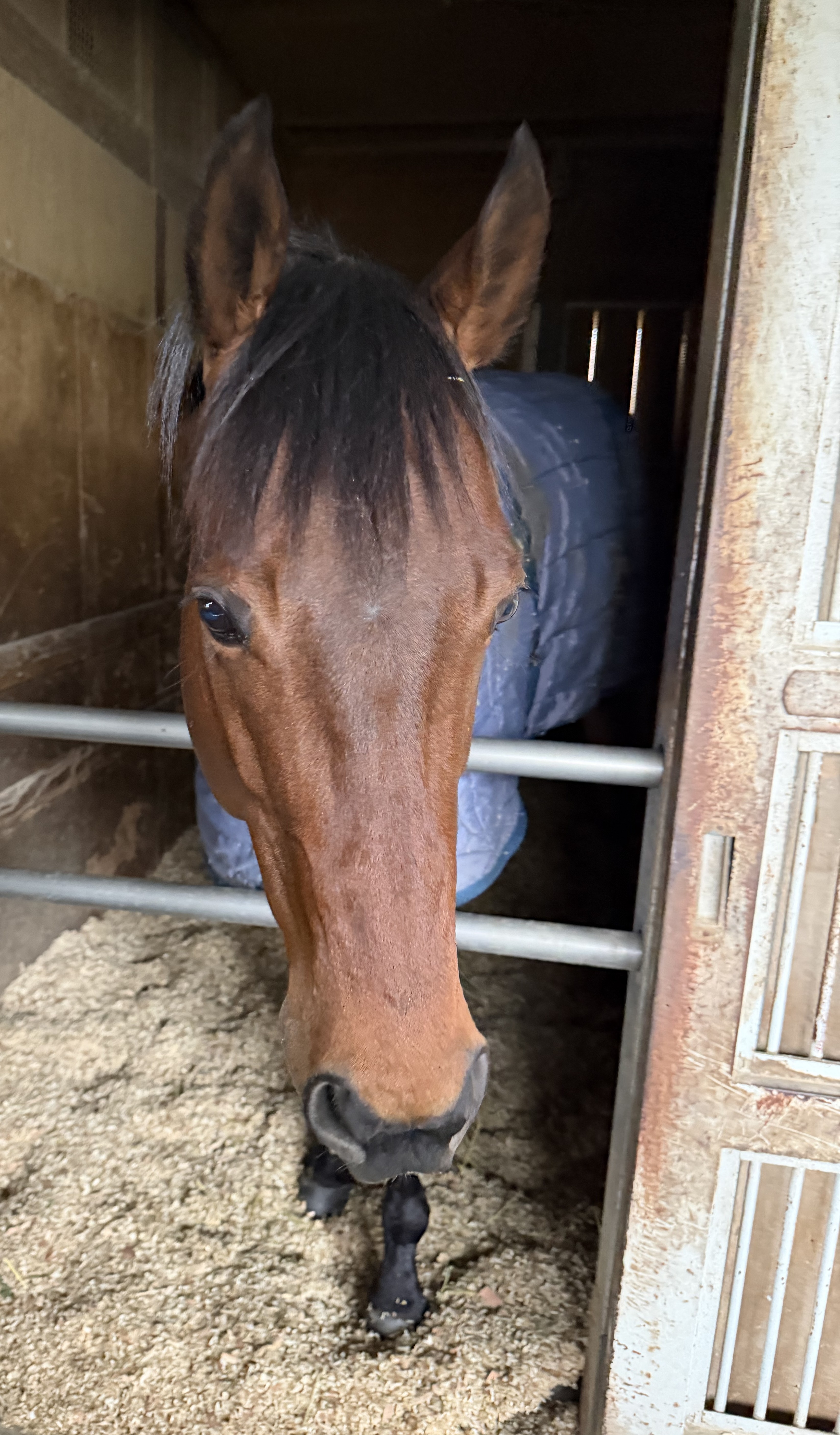 画像サムネイル