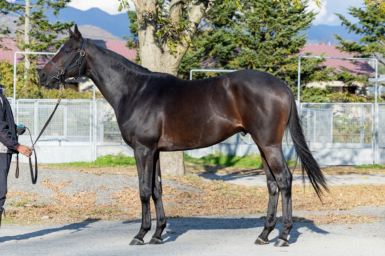 画像サムネイル