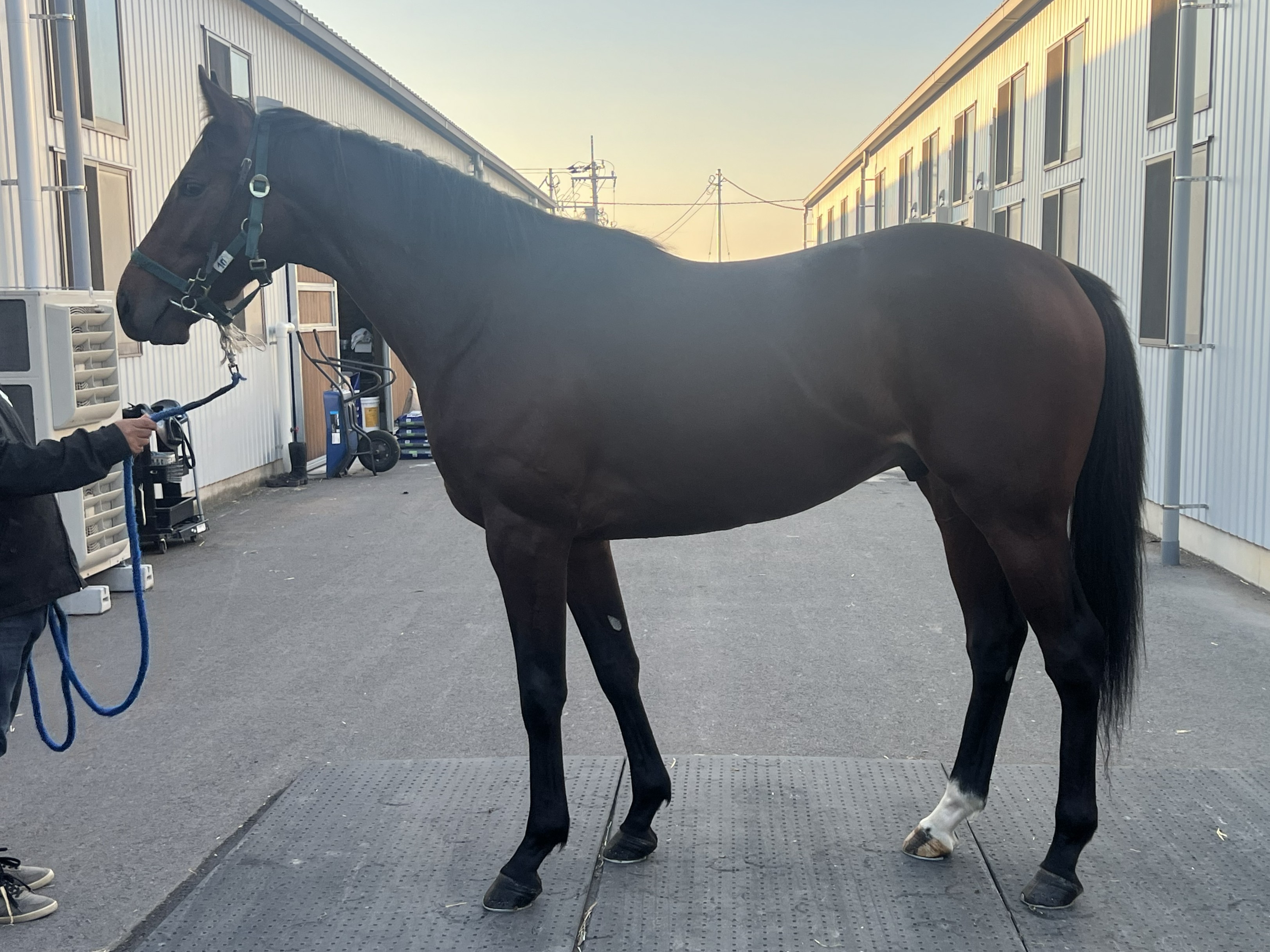 画像サムネイル